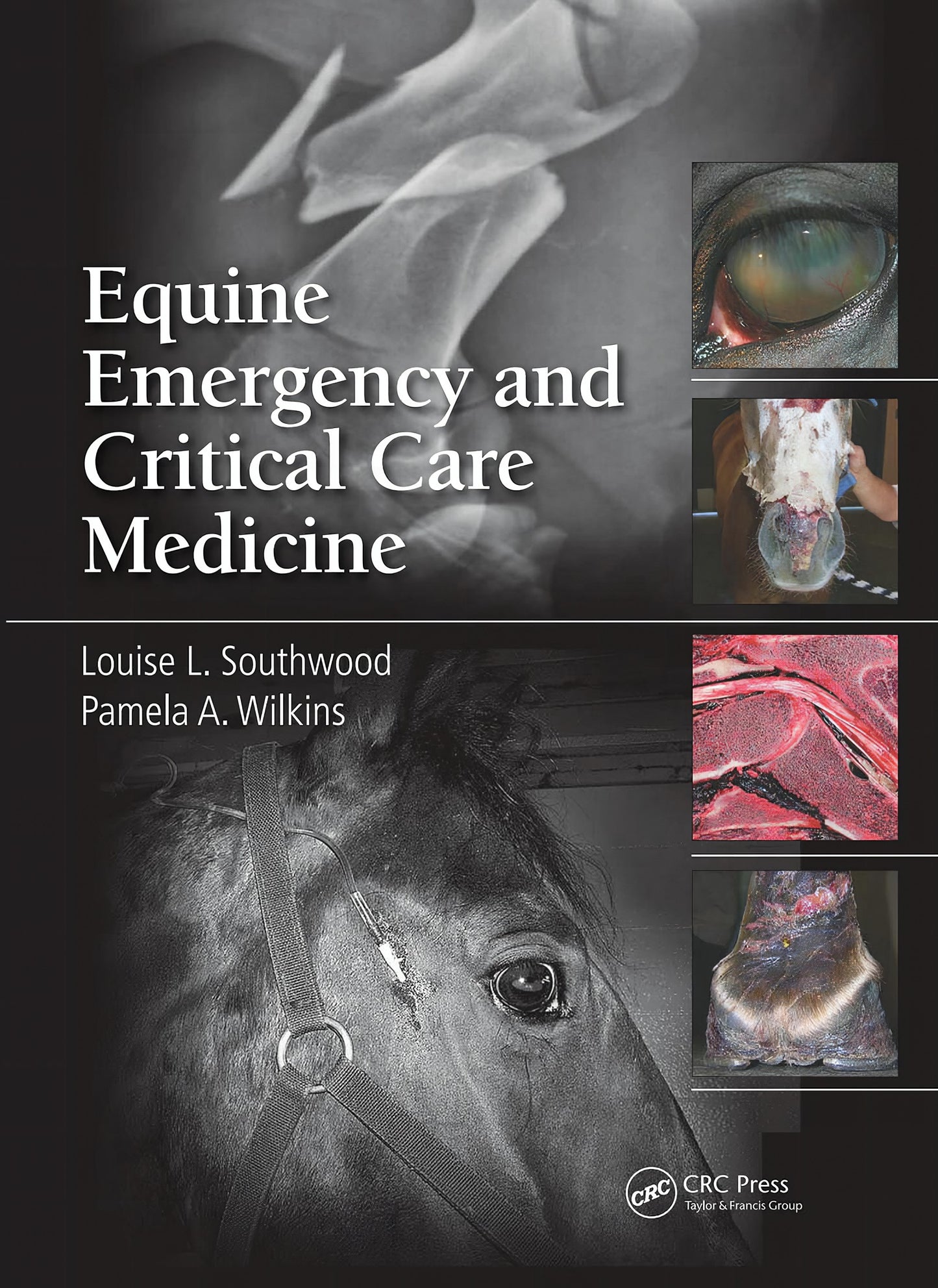 Equine Emergency And Critical Care Medicine