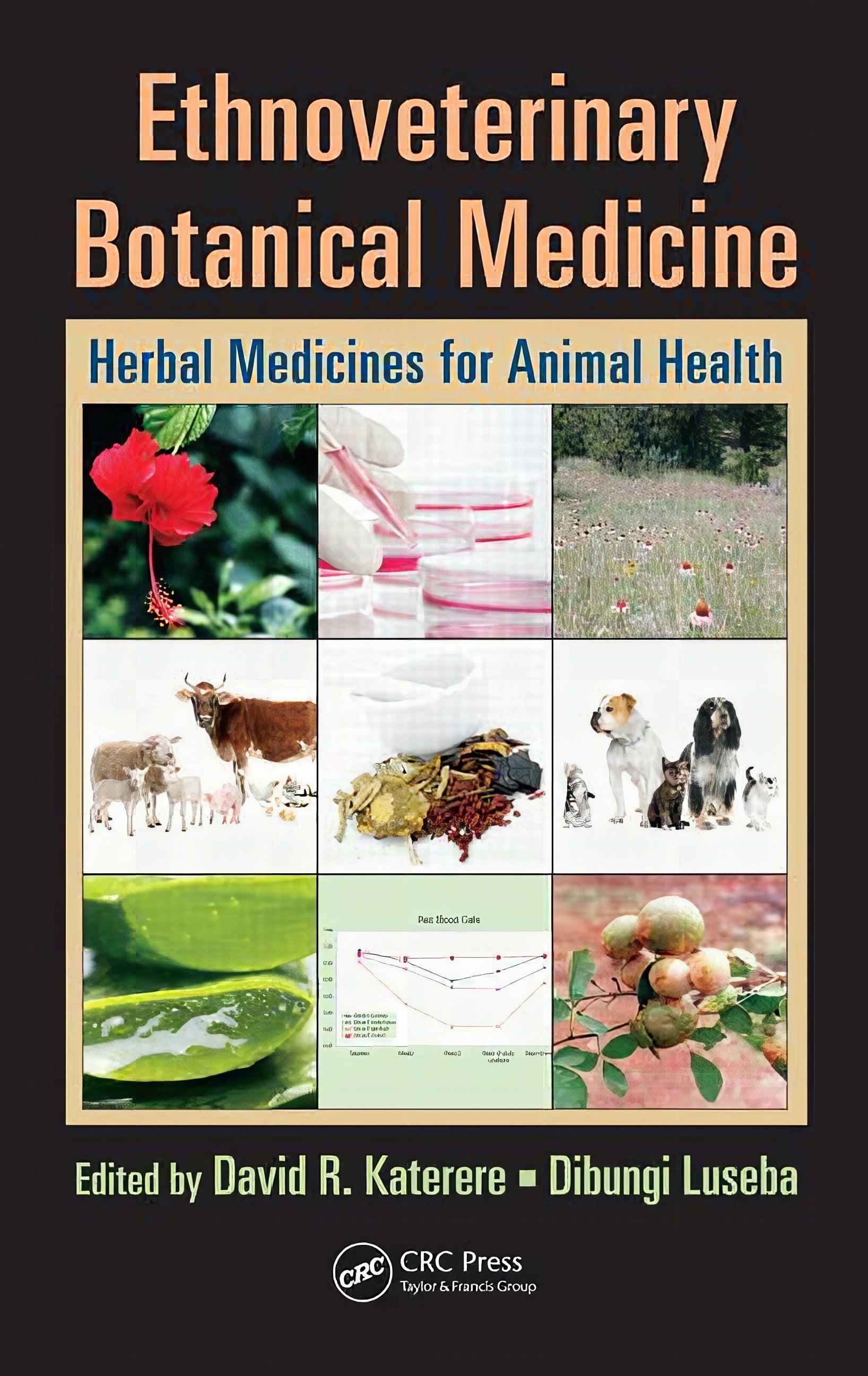 Ethnoveterinary Botanical Medicine Herbal Medicines For Animal Health