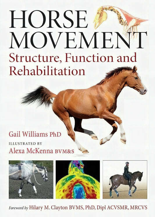 Horse Movement Structure Function And Rehabilitation