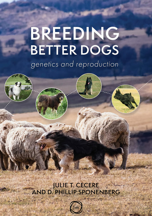 Breeding Better Dogs Genetics And Reproduction