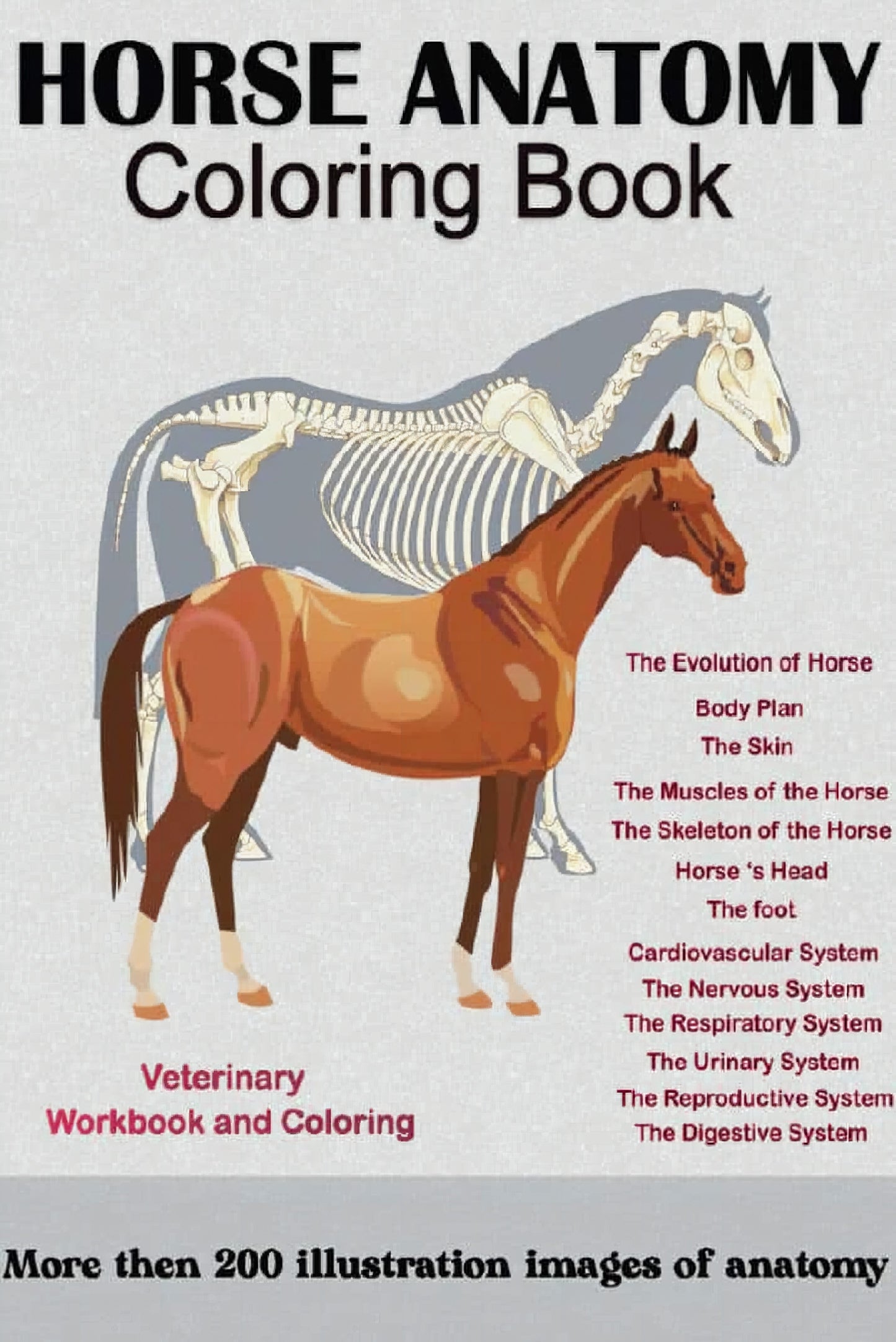 Horse Anatomy Coloring Book