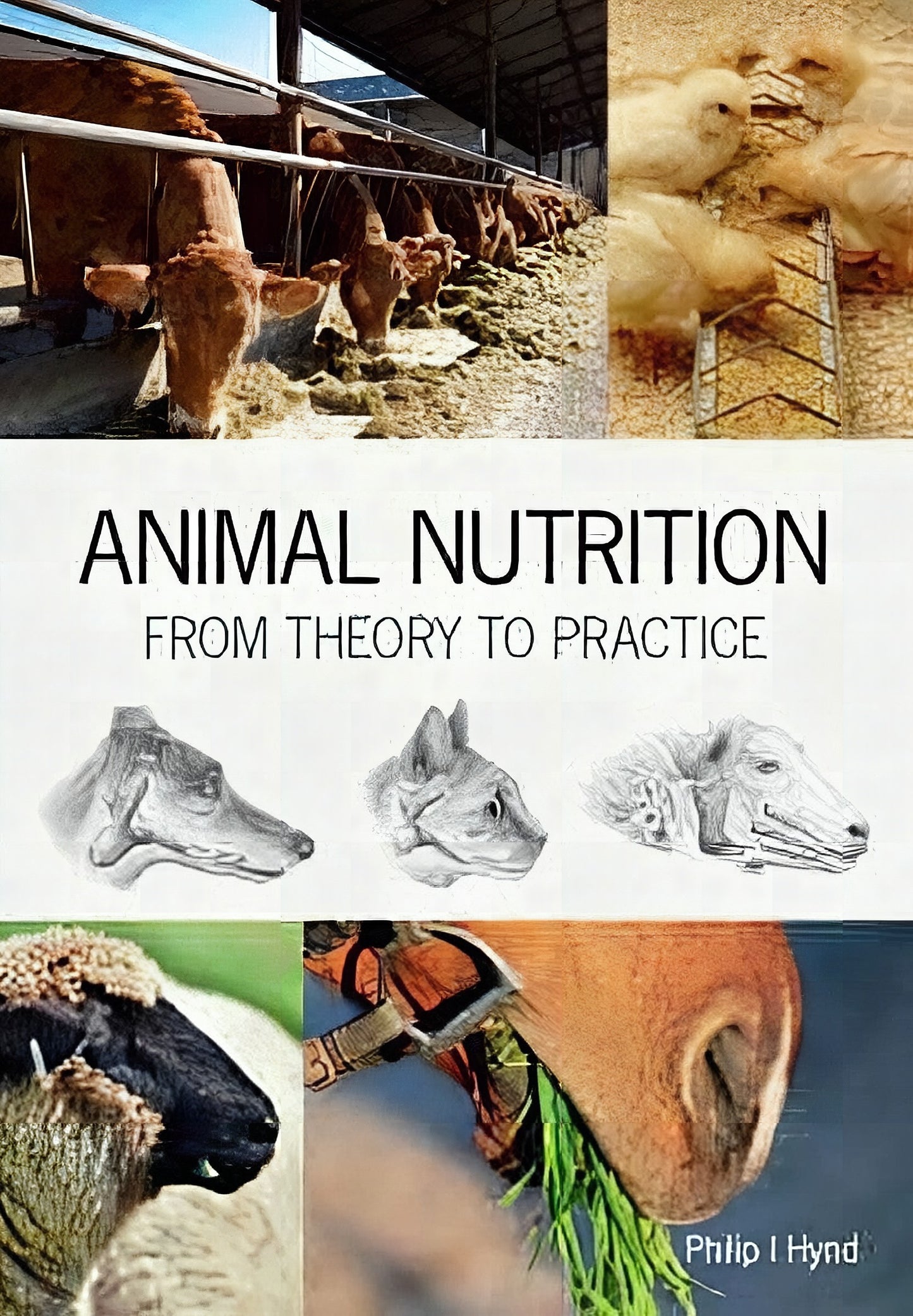 Animal Nutrition From Theory To Practice