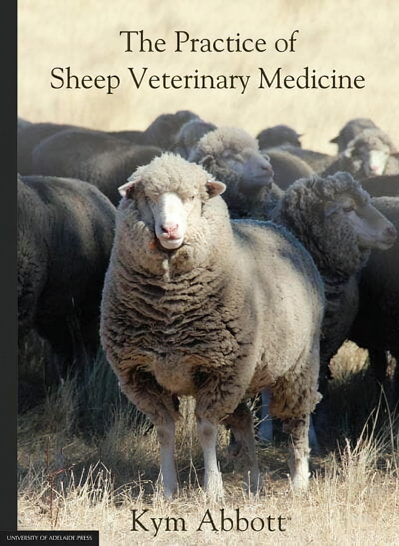 The Practice Of Sheep Veterinary Medicine