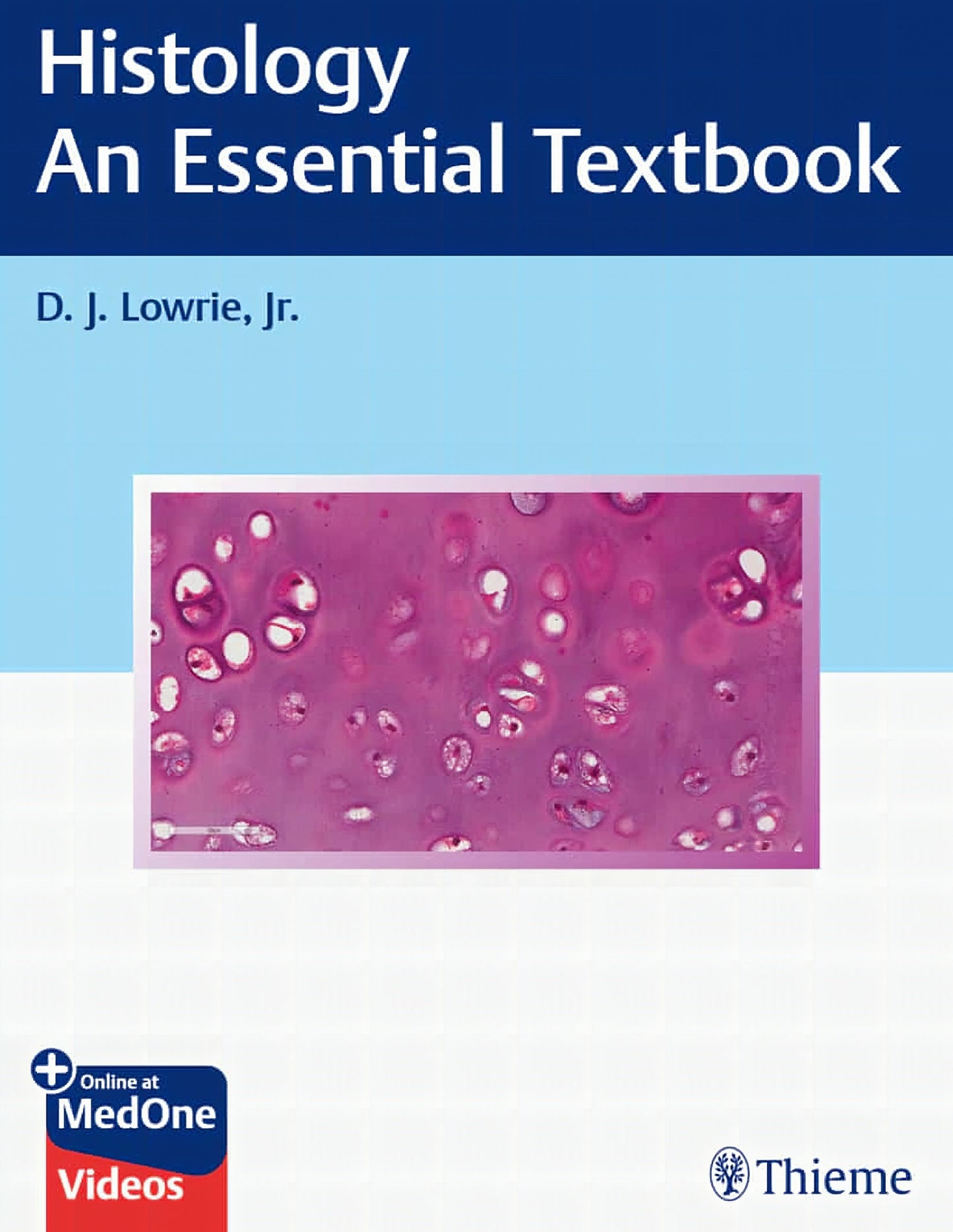 Histology An Essential Textbook