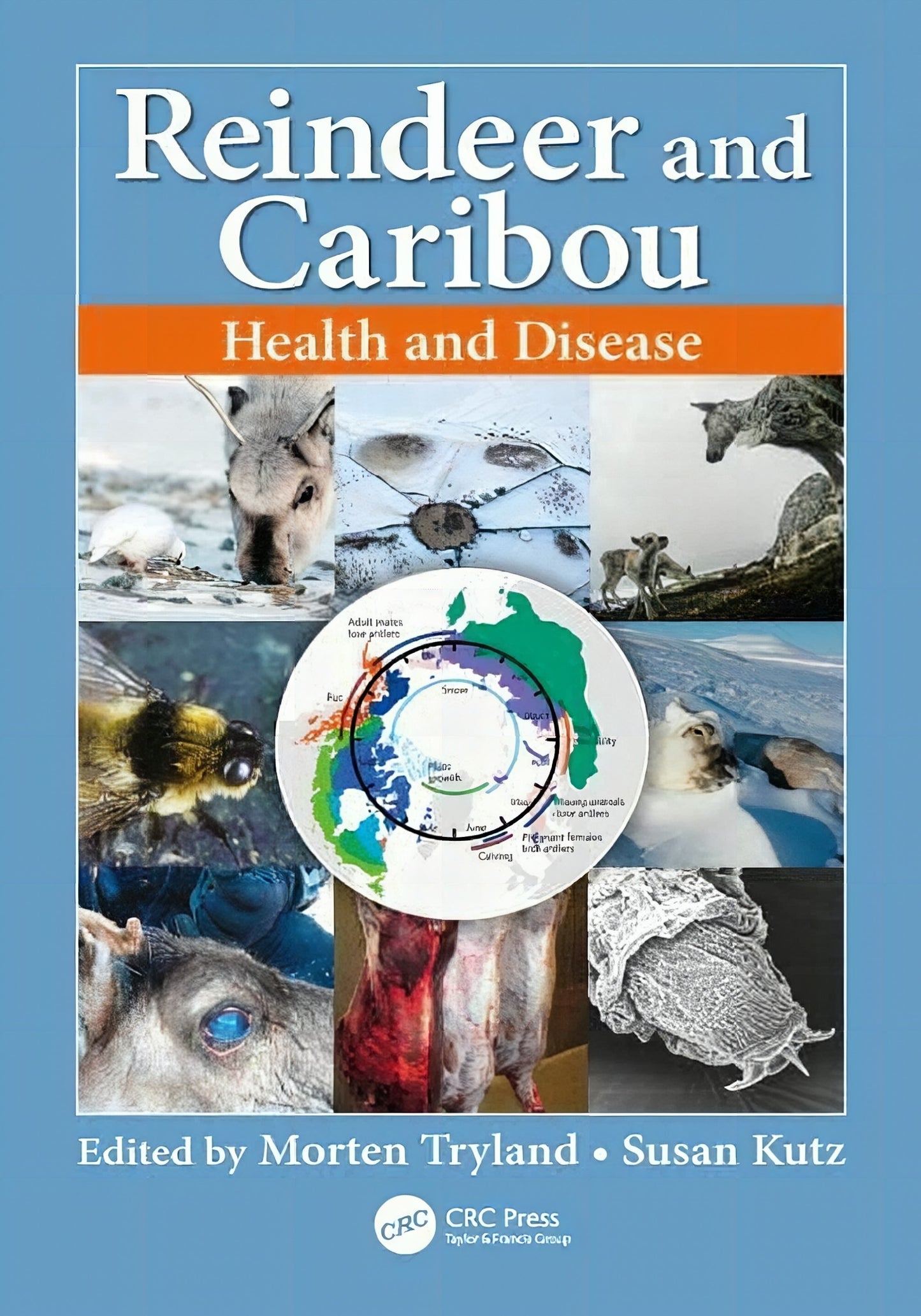 Reindeer And Caribou Health And Disease
