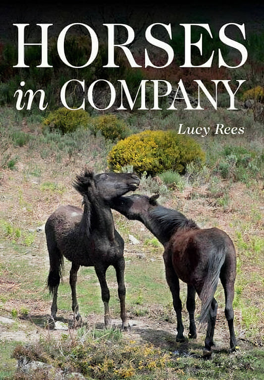 Horses In Company