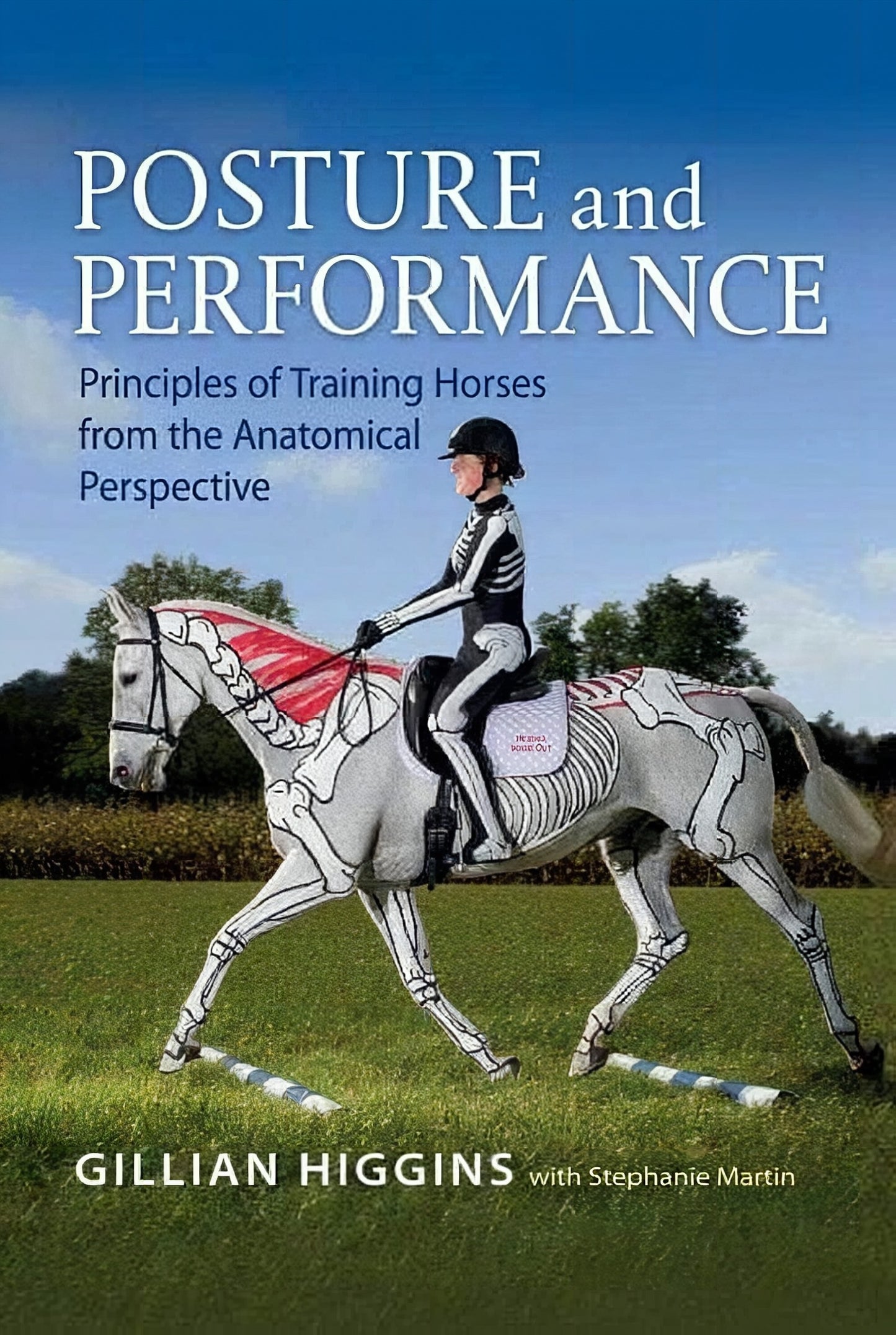 Posture And Performance Principles Of Training Horses From The Anatomical Perspective