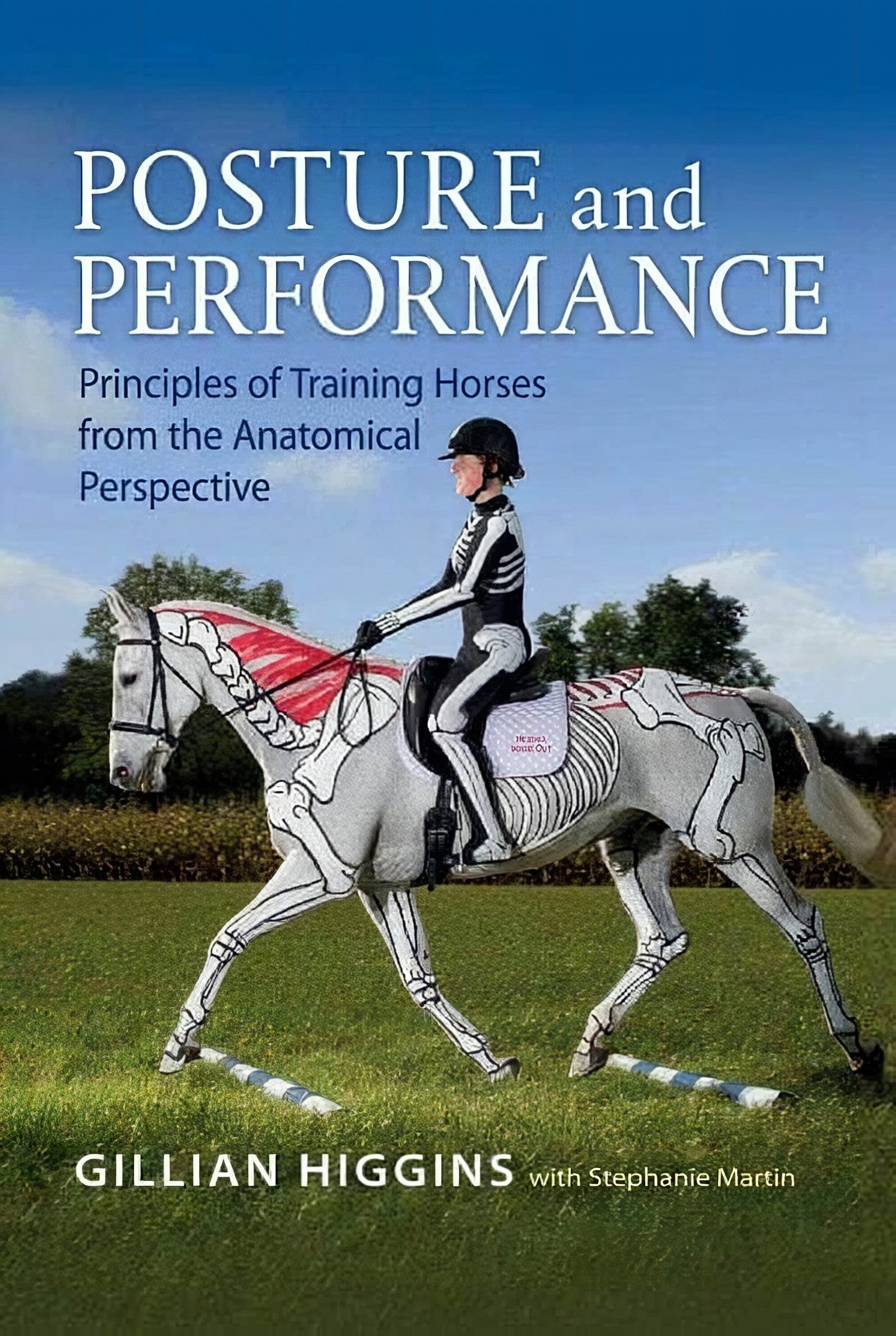 Posture And Performance Principles Of Training Horses From The Anatomical Perspective