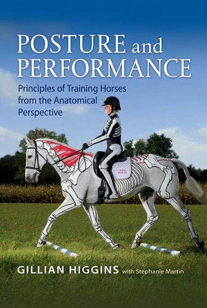 Posture And Performance Principles Of Training Horses From The Anatomical Perspective