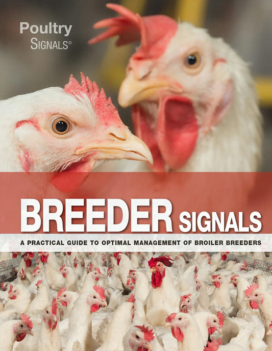 Breeder Signals A Practical Guide To Optimal Management Of Broiler Breeders