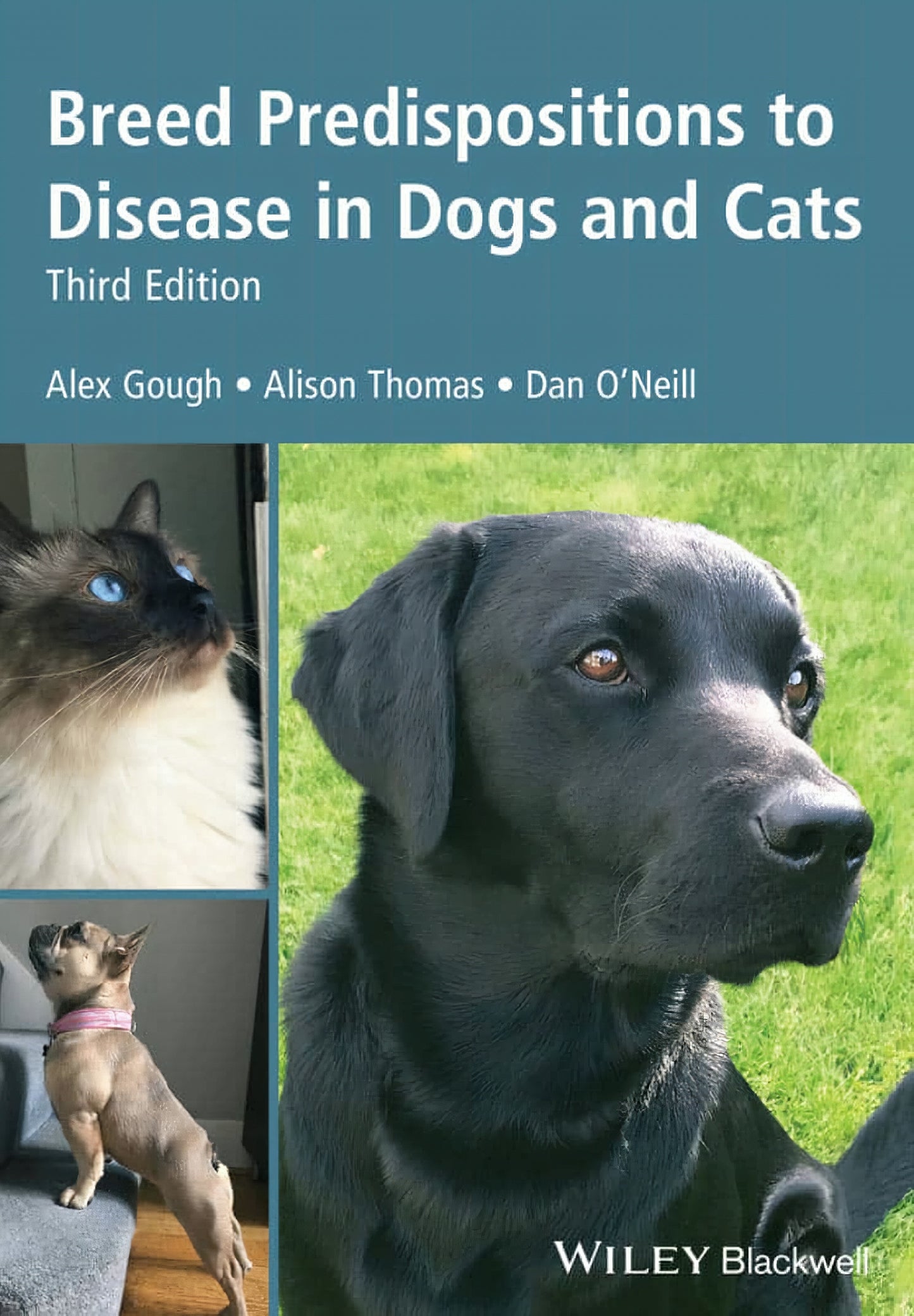 Breed Predispositions To Disease In Dogs And Cats 3Rd Edition