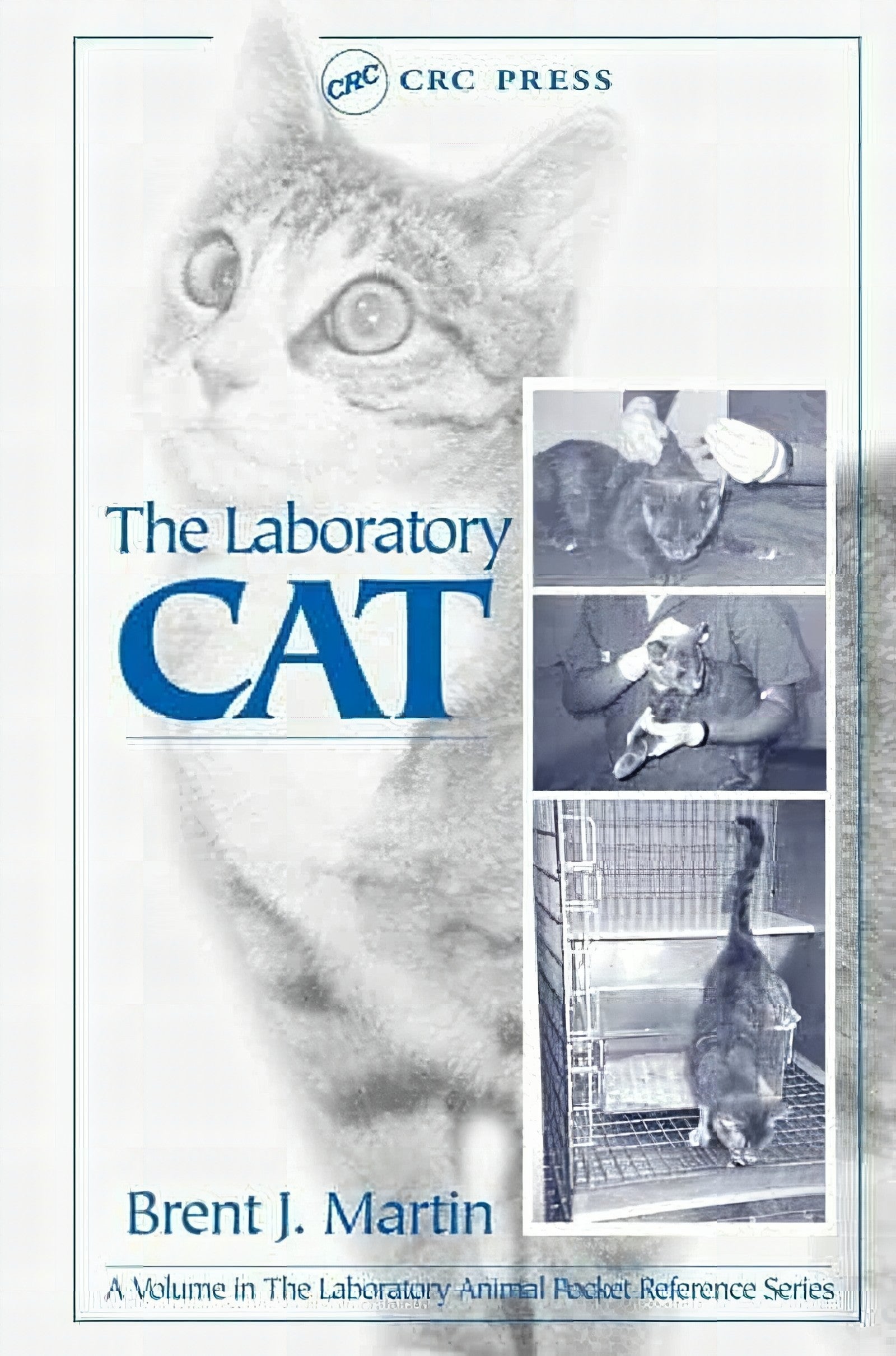 The Laboratory Cat