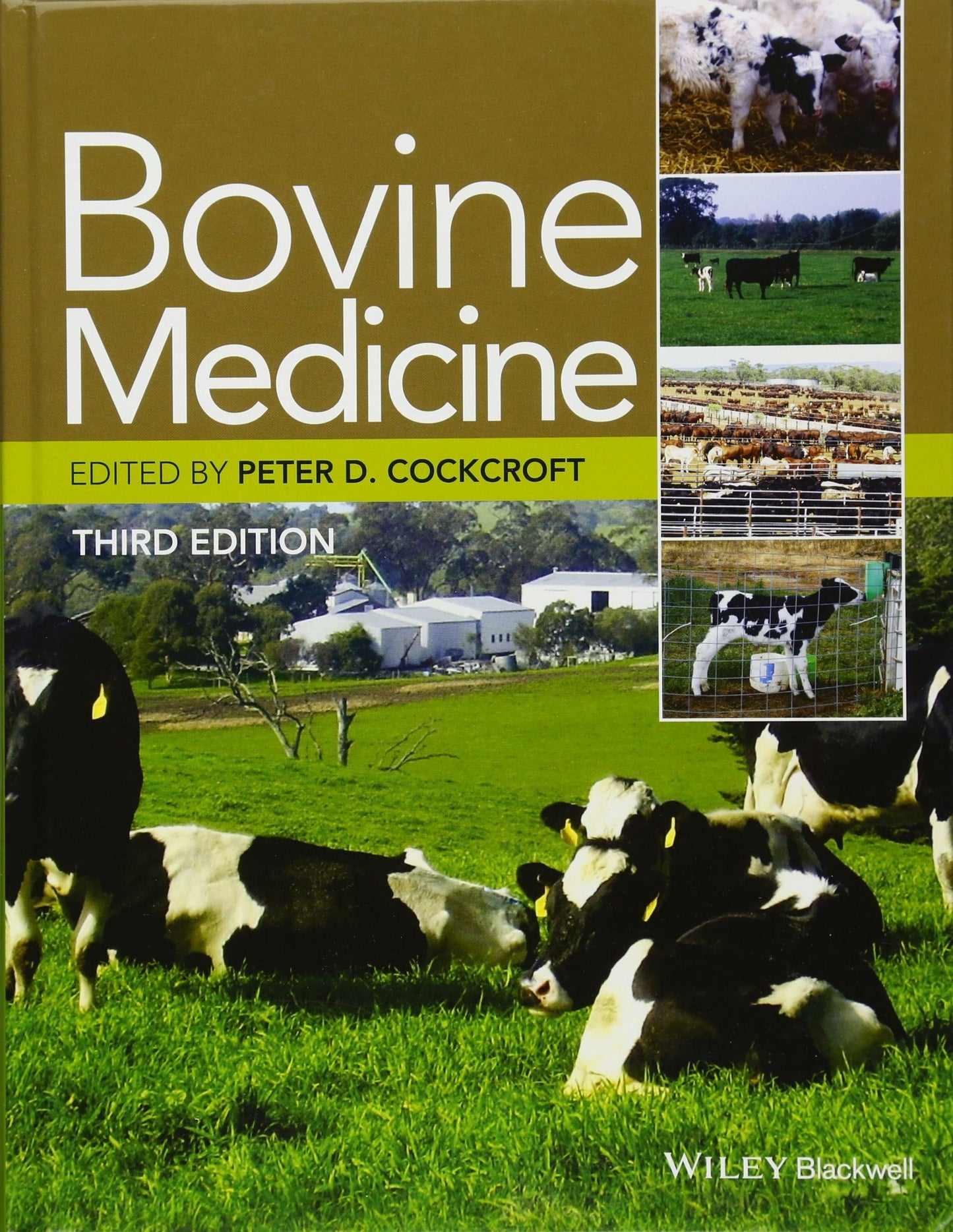 Bovine Medicine Diseases And Husbandry Of Cattle 2Nd Edition