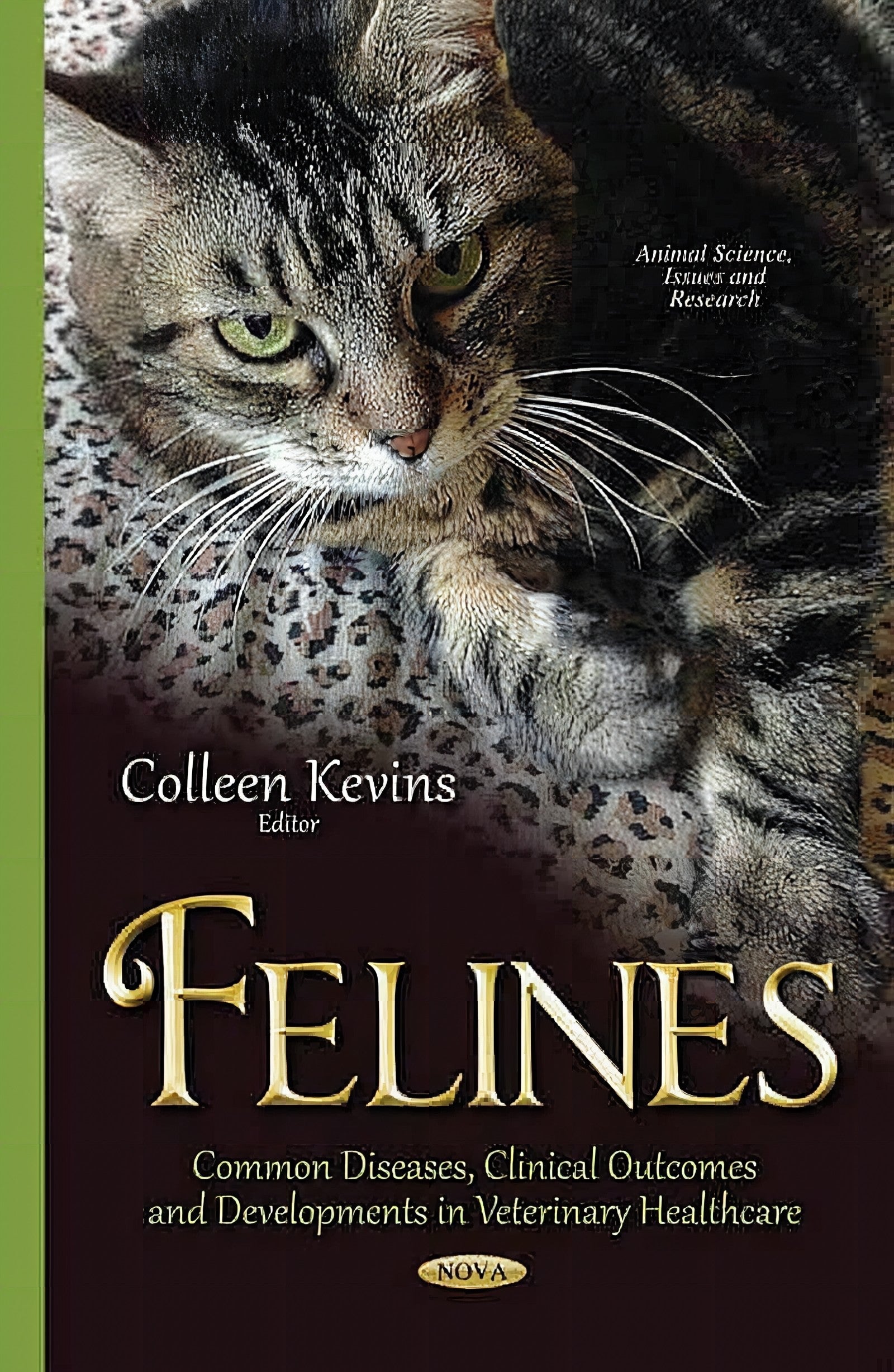 Felines Common Diseases Clinical Outcomes And Developments In Veterinary Healthcare