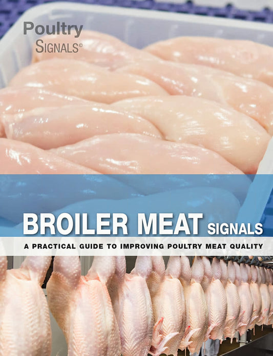 Broiler Meat Signals A Practical Guide To Improving Poultry Meat Quality