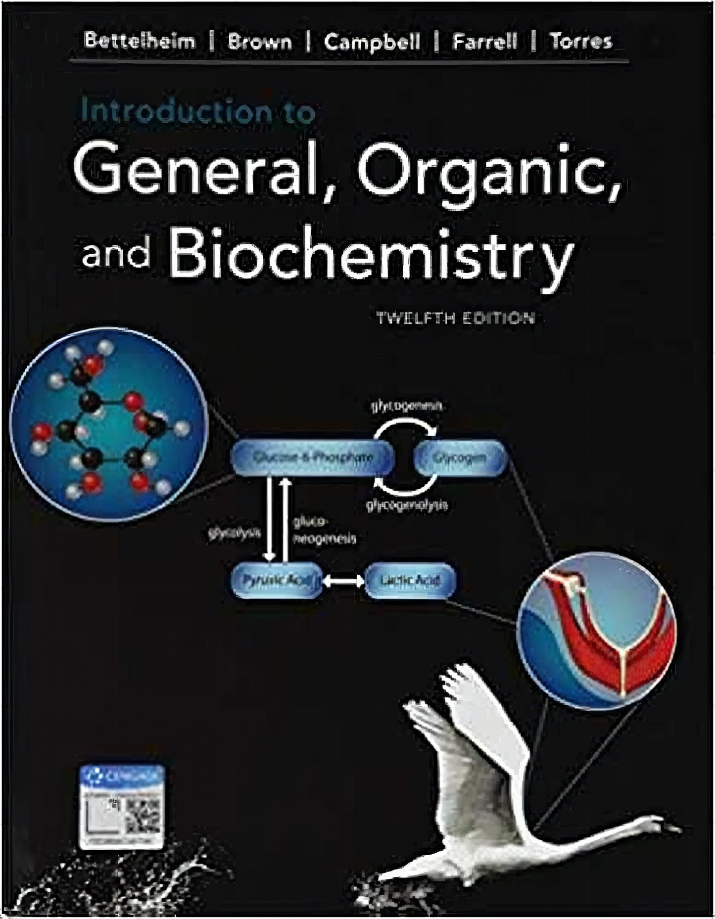 Introduction To General Organic And Biochemistry 12Th Edition