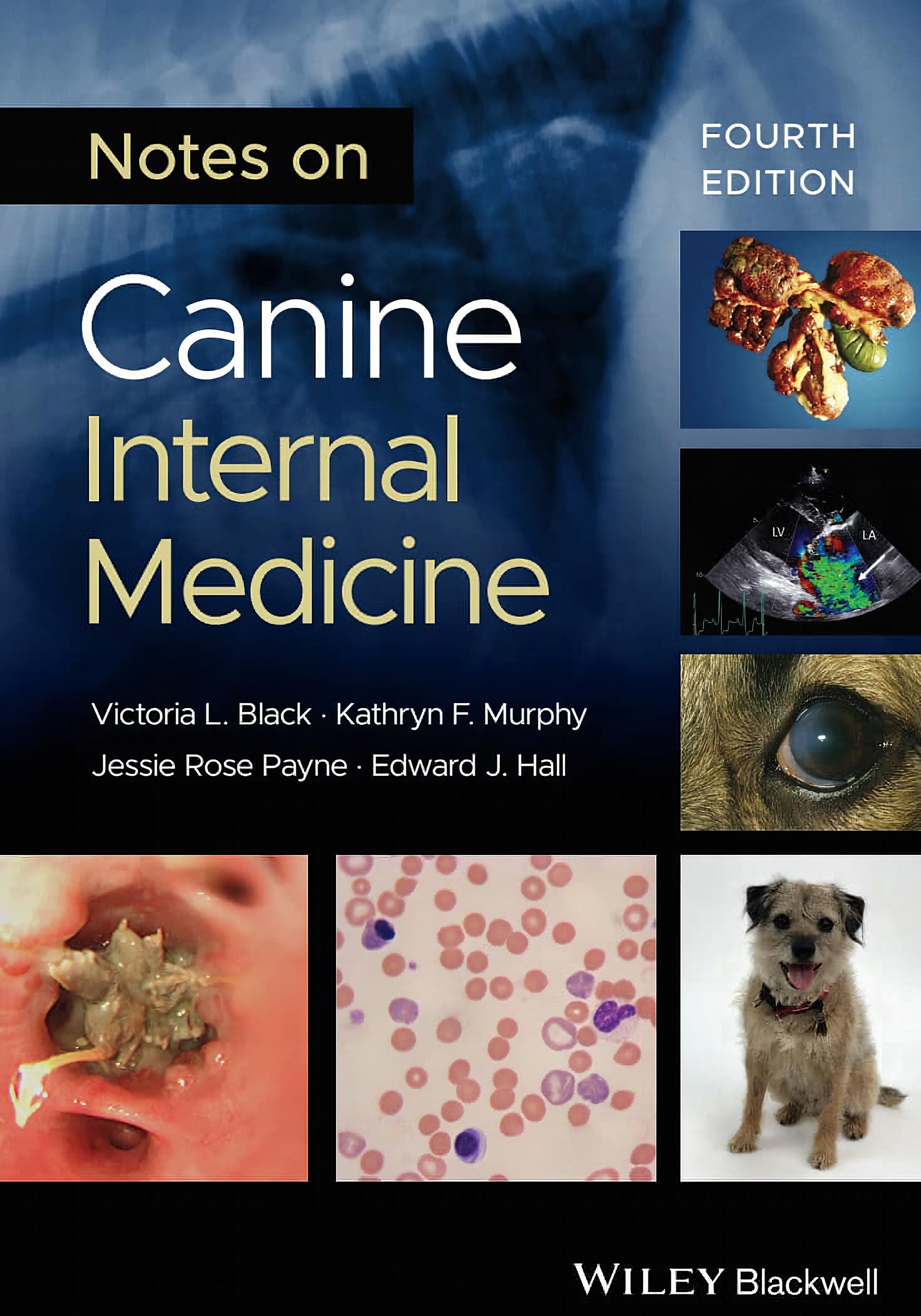 Notes On Canine Internal Medicine 4Th Edition