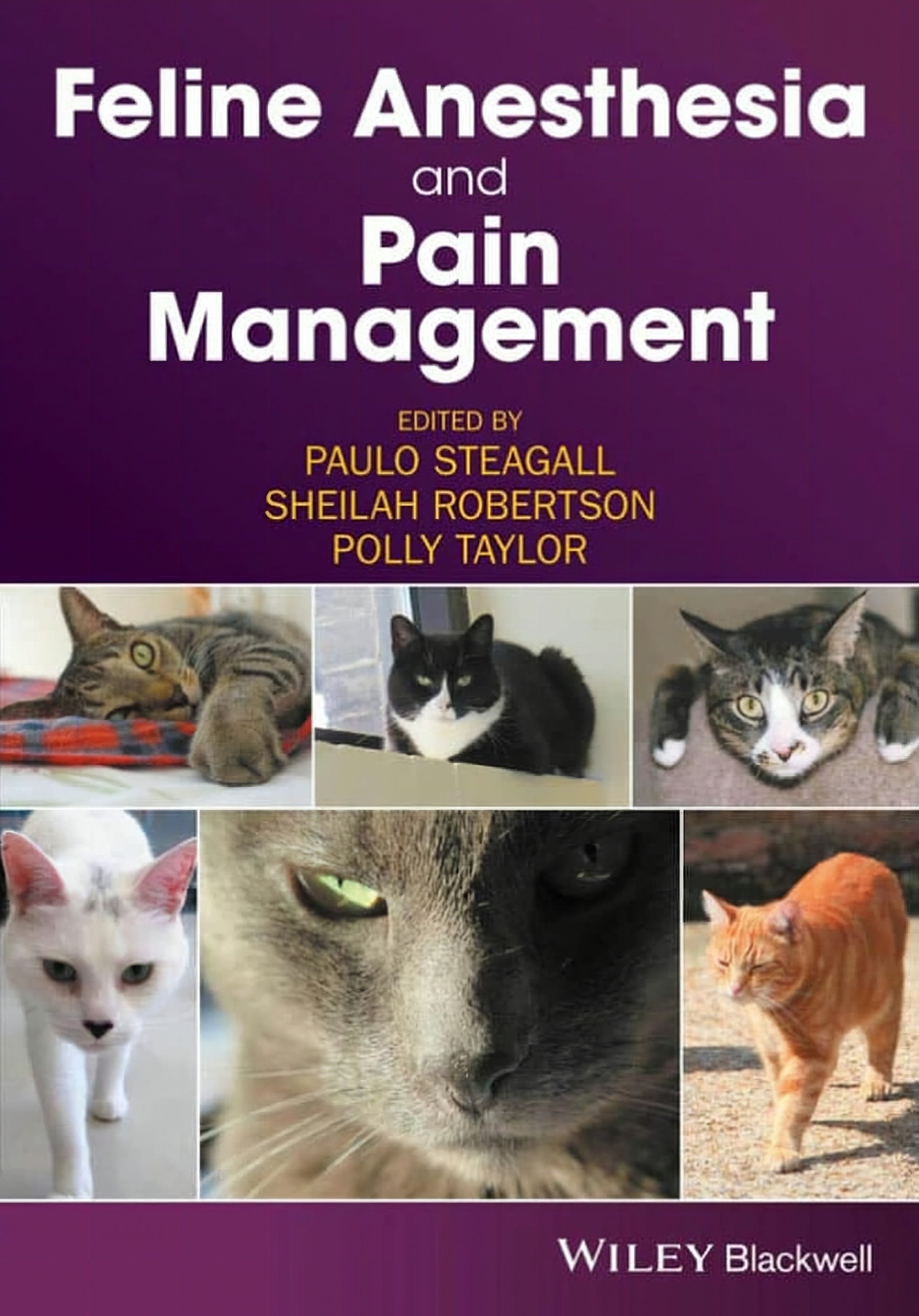 Feline Anesthesia And Pain Management