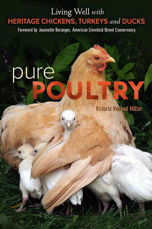 Pure Poultry Living Well With Heritage Chickens Turkeys And Ducks