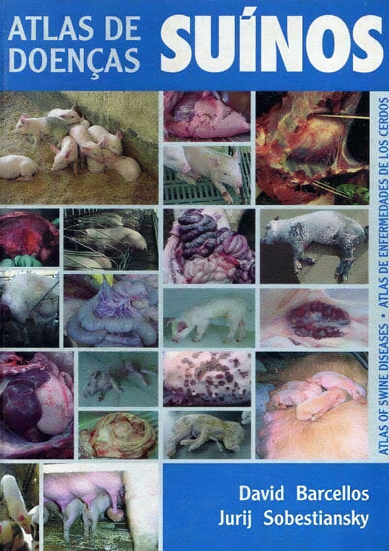 Atlas Of Swine Diseases