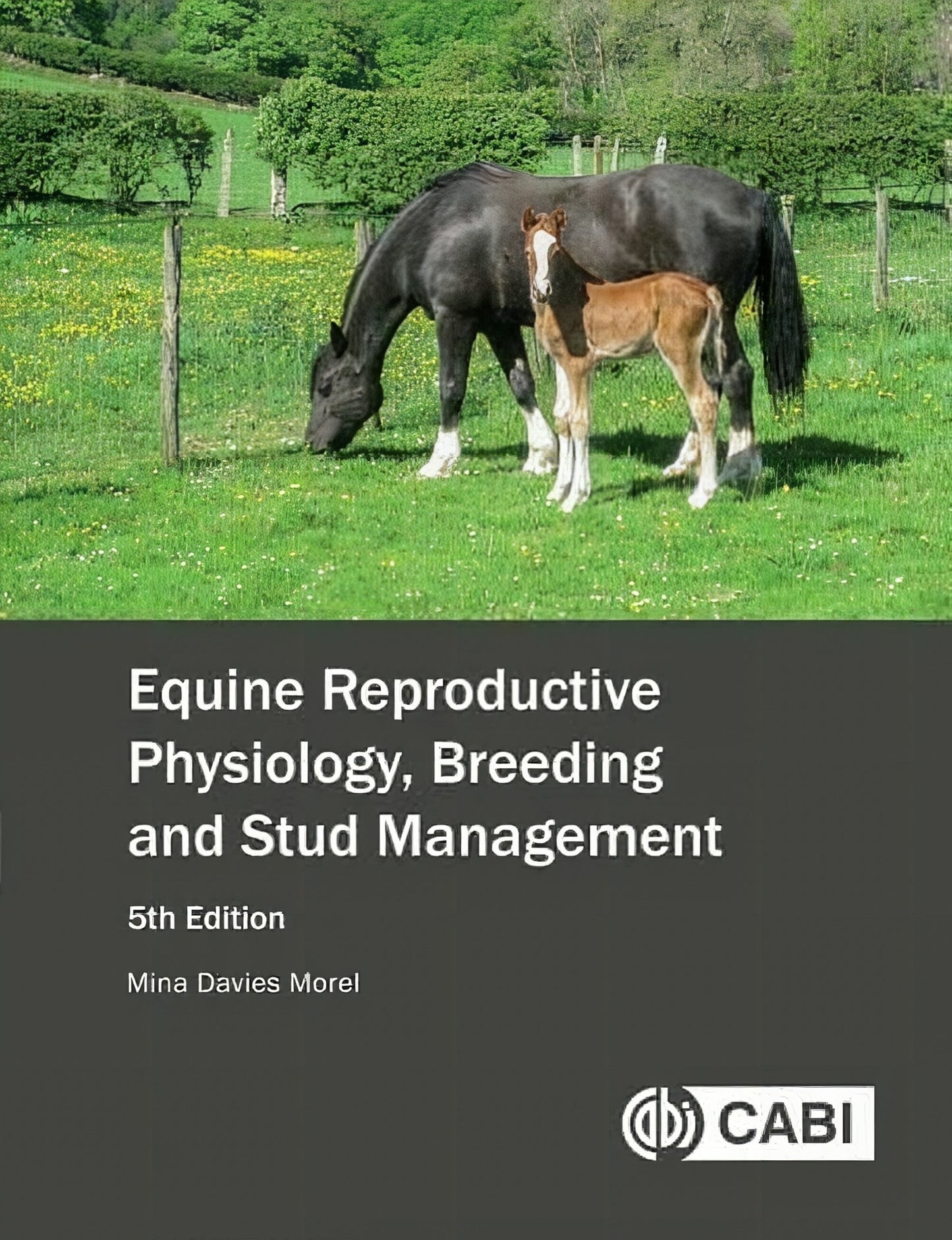 Equine Reproductive Physiology Breeding And Stud Management 5Th Edition