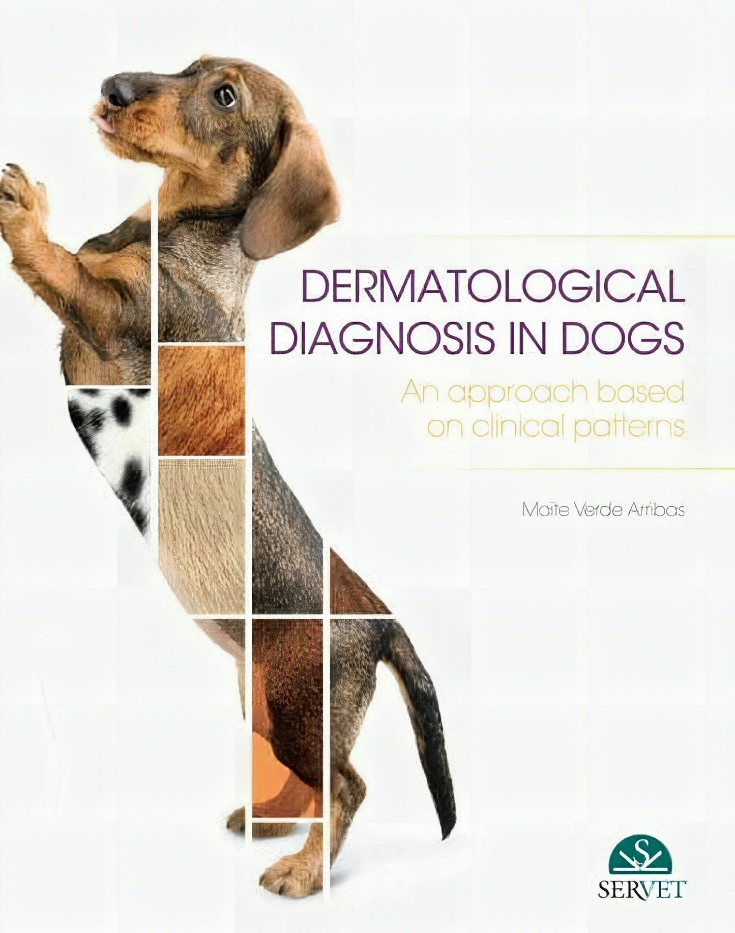 Dermatological Diagnosis In Dogs. An Approach Based on Clinical Patterns