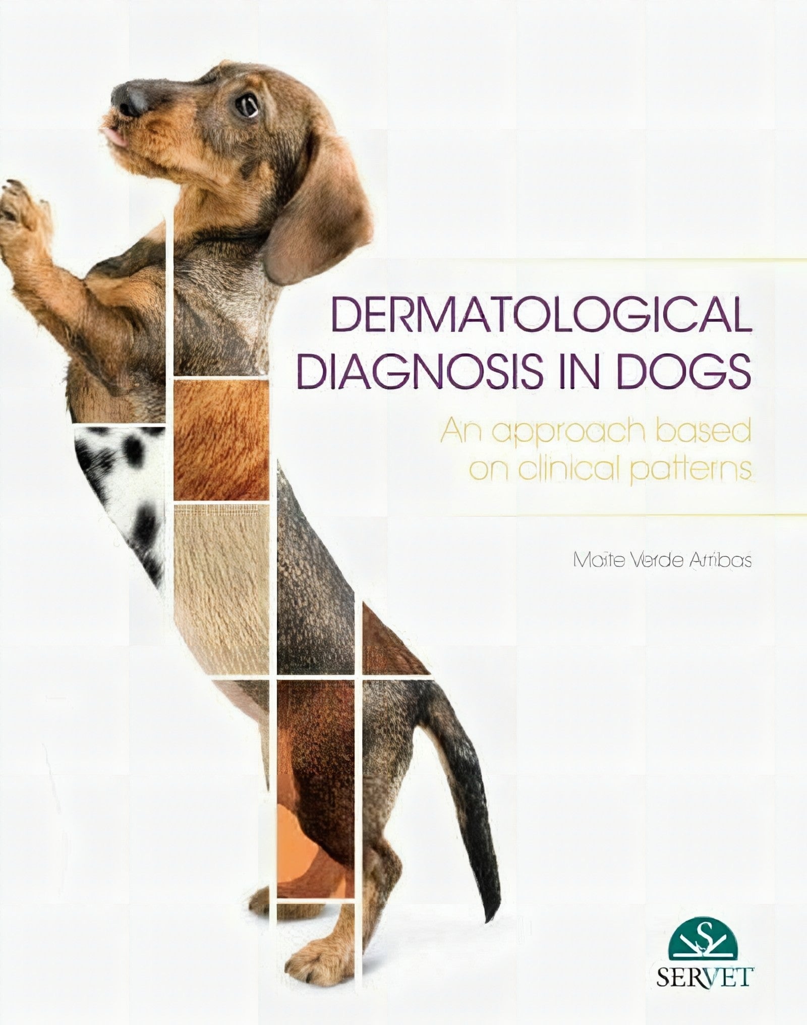 Dermatological Diagnosis In Dogs. An Approach Based on Clinical Patterns