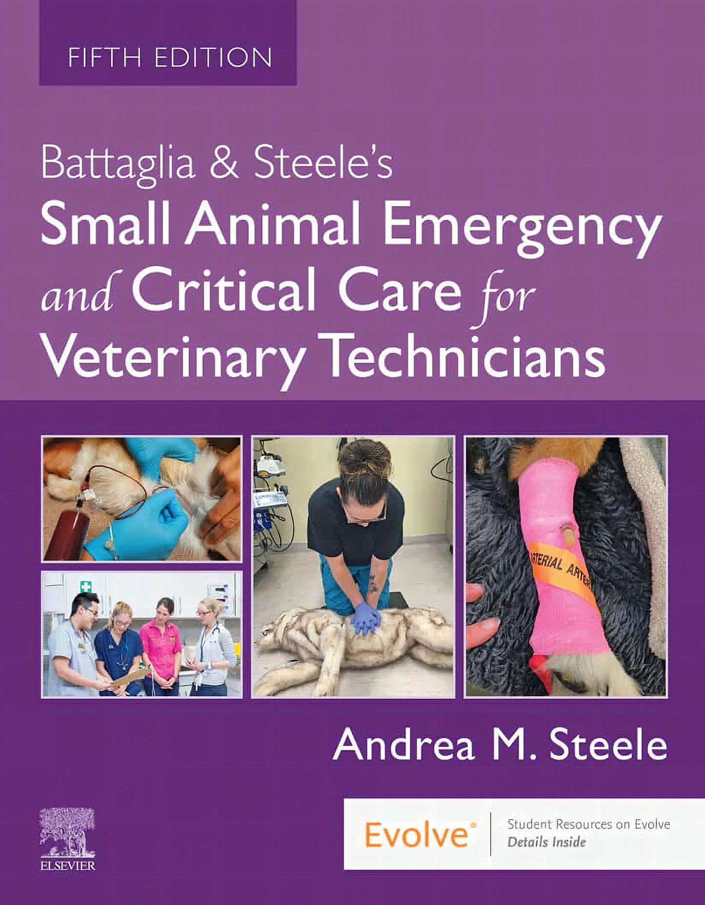 Small Animal Emergency And Critical Care Medicine: Self-assessment Color Review 2nd Edition