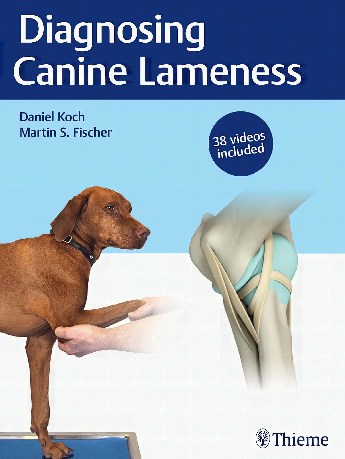 Diagnosing Canine Lameness