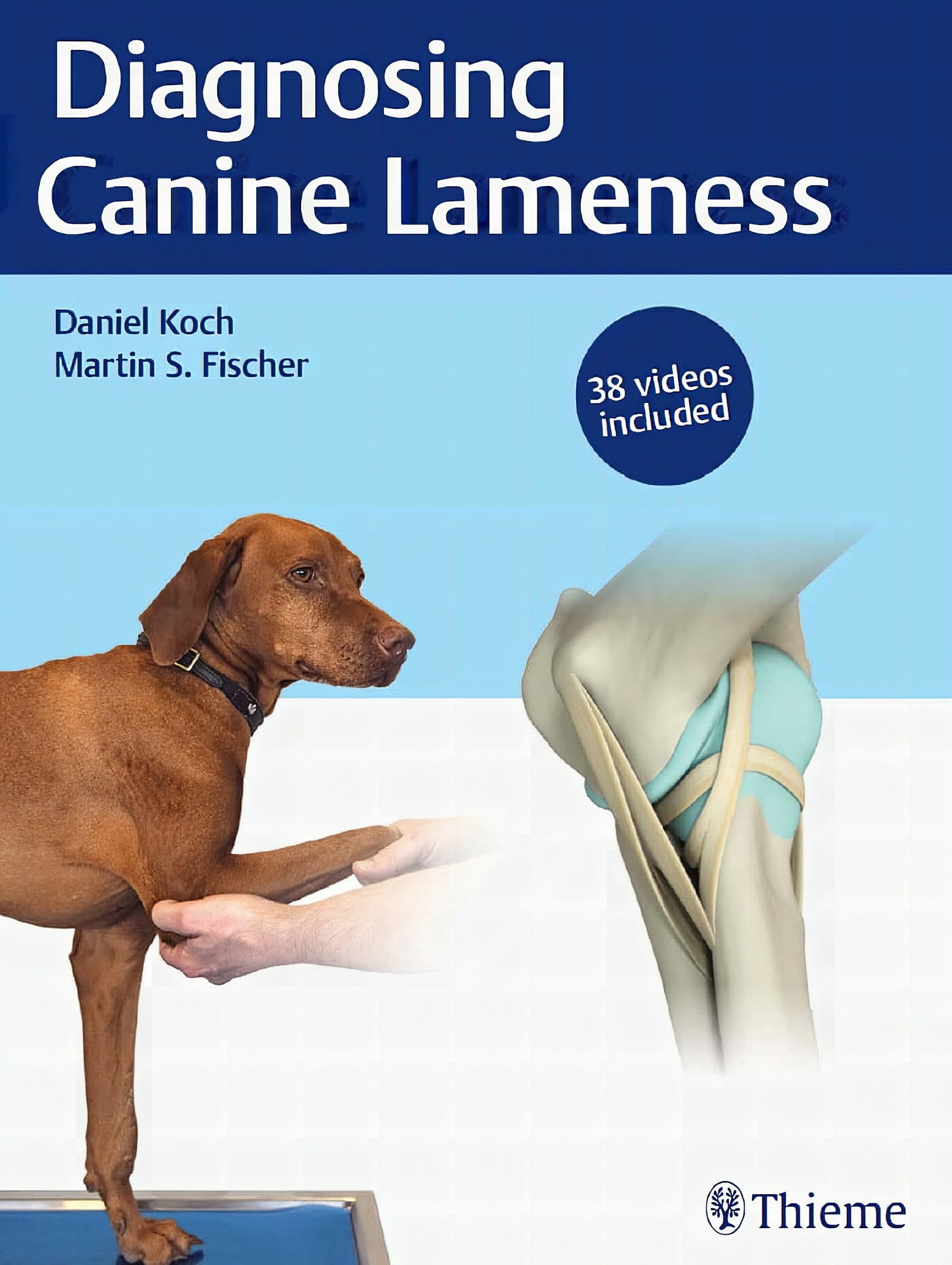 Diagnosing Canine Lameness