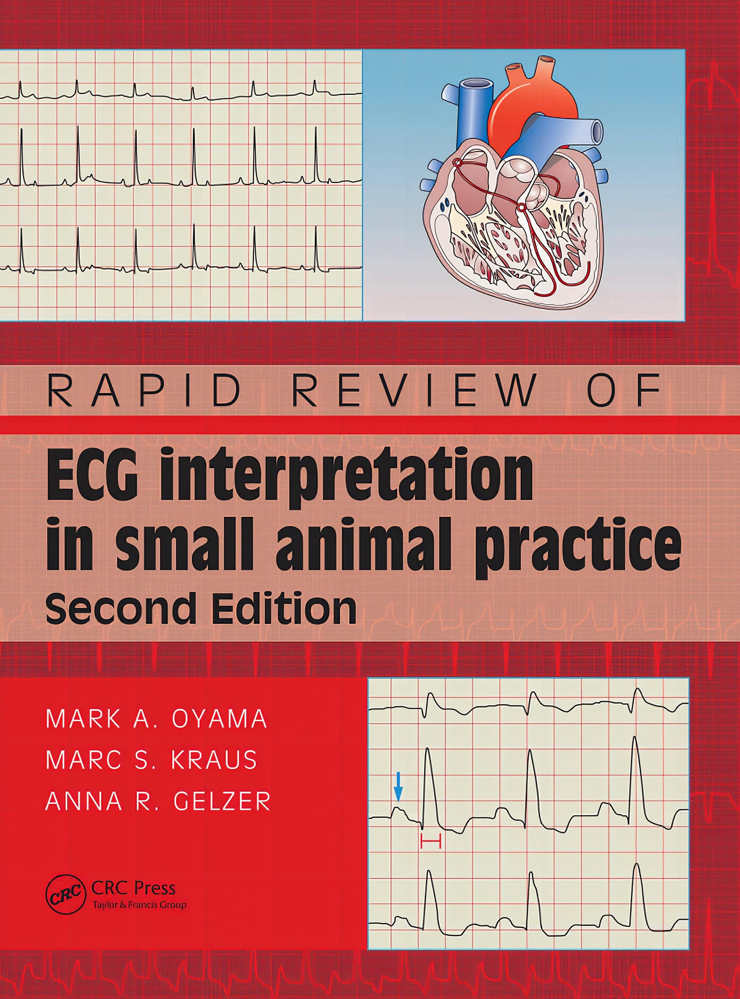 Rapid Review of ECG Interpretation in Small Animal Practice, 2nd Edition