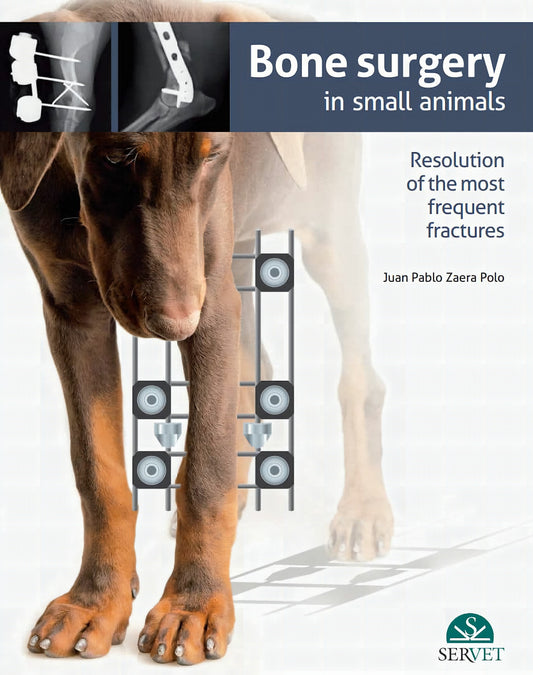 Bone Surgery In Small Animals