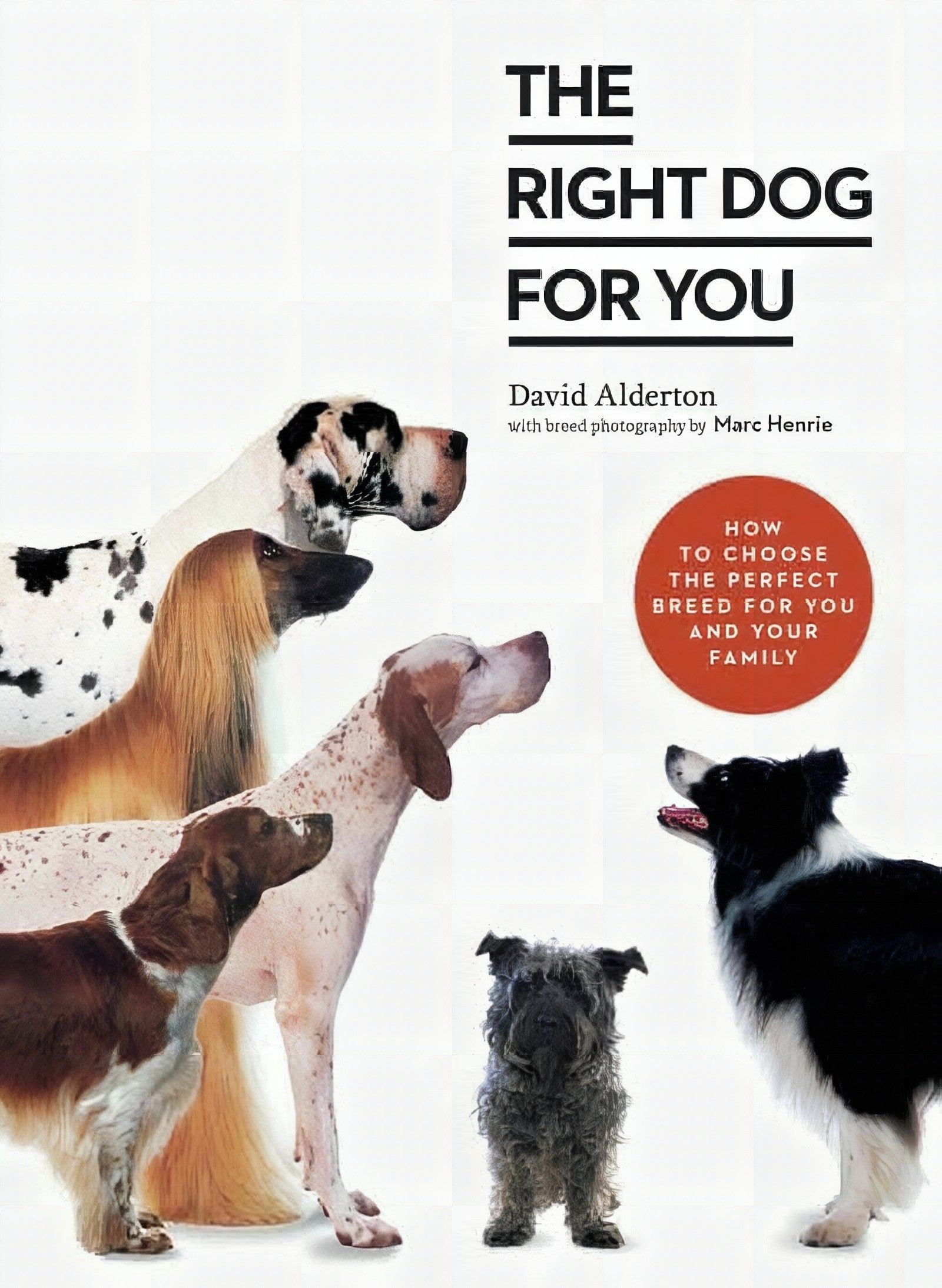 The Right Dog for You: How to Choose the Perfect Breed for You and Your Family