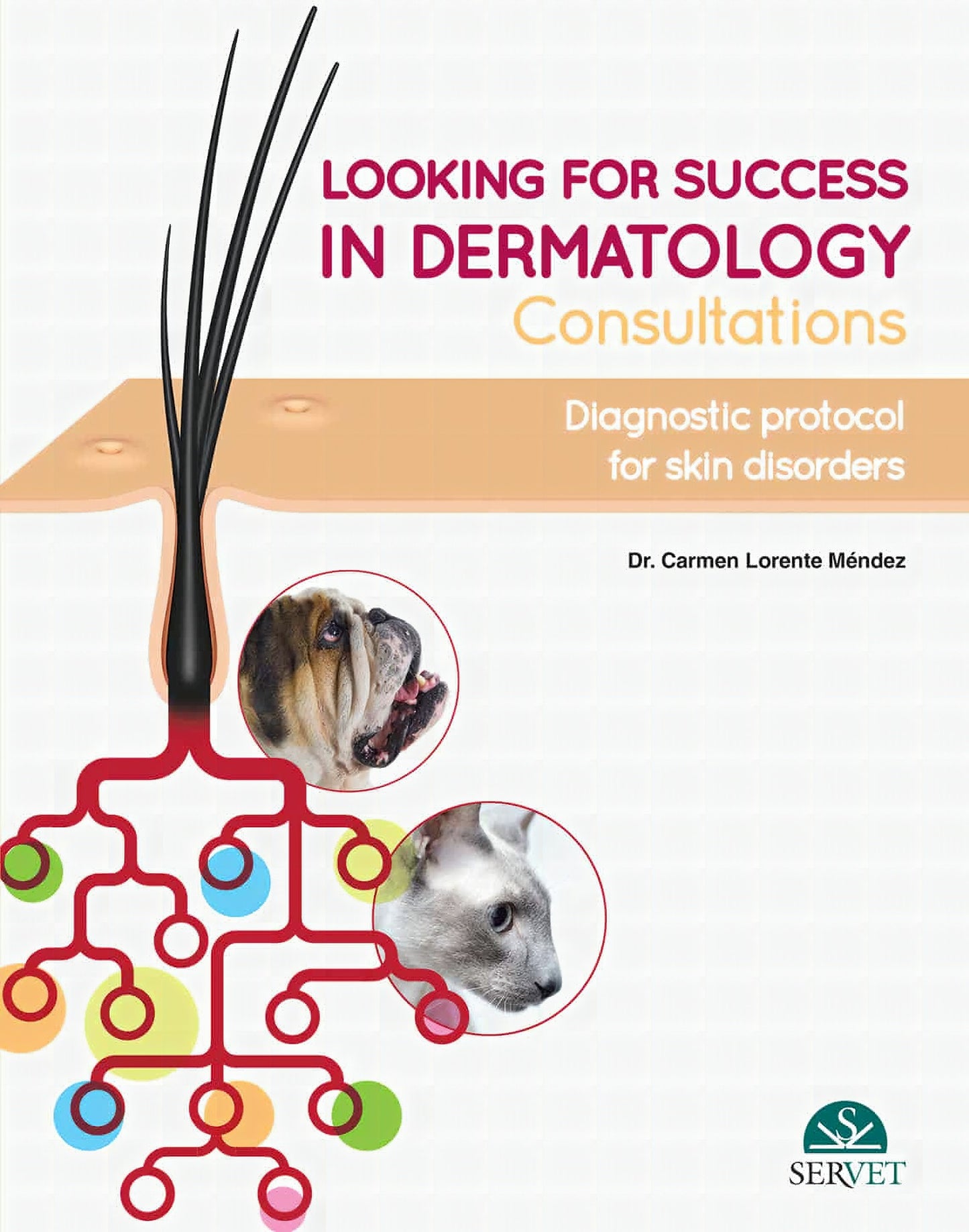 Looking for Success in Dermatology Consultations, Diagnostic Protocol for Skin Disorders.zip