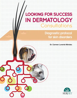 Looking for Success in Dermatology Consultations, Diagnostic Protocol for Skin Disorders