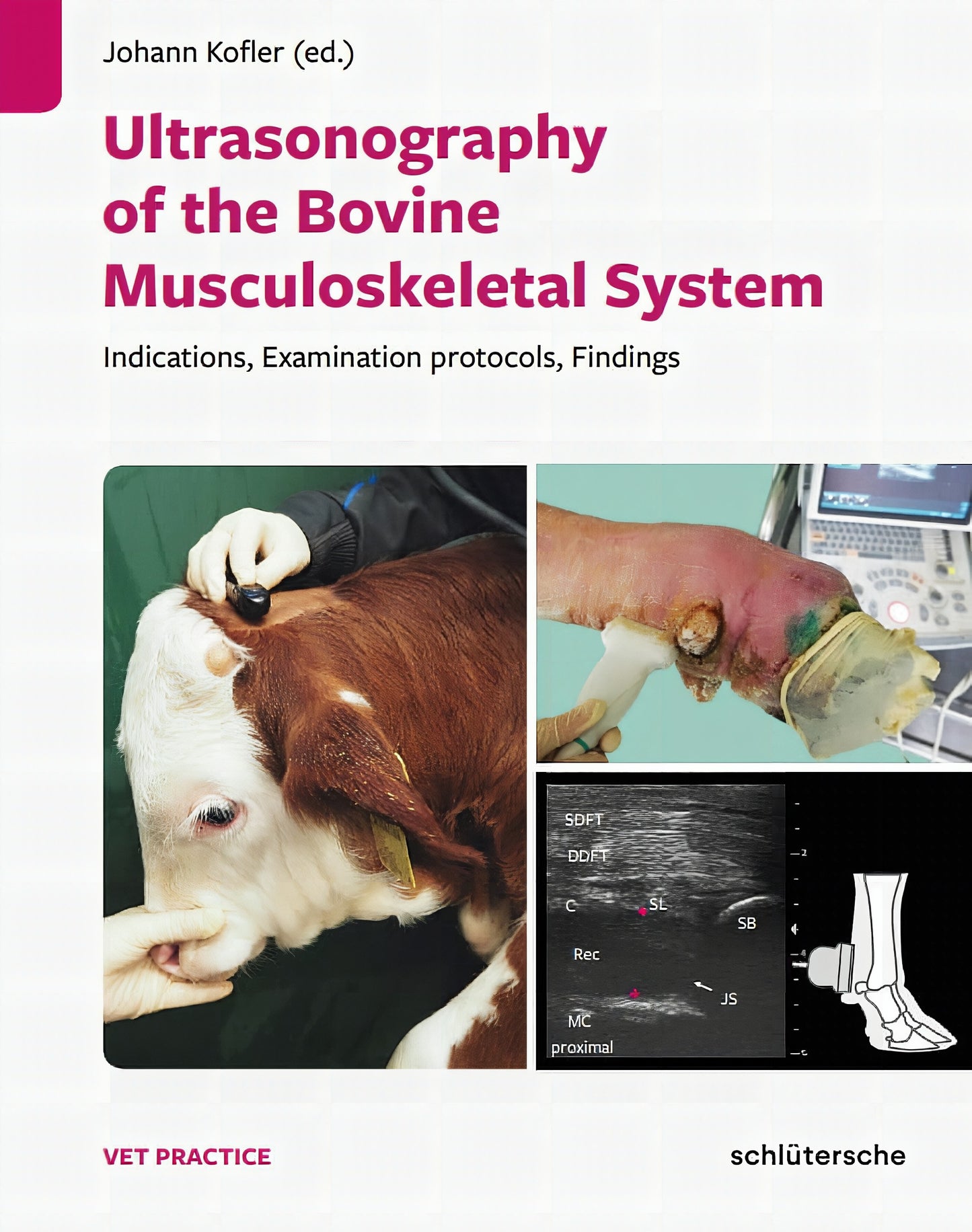 Ultrasonography Of The Bovine Musculoskeletal System- Indications, Examination Protocols, Findings.p