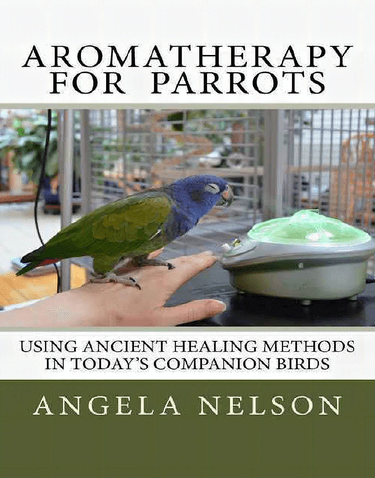 Aromatherapy For Parrots Using An Ancient Healing Art With Todays Companion Birds