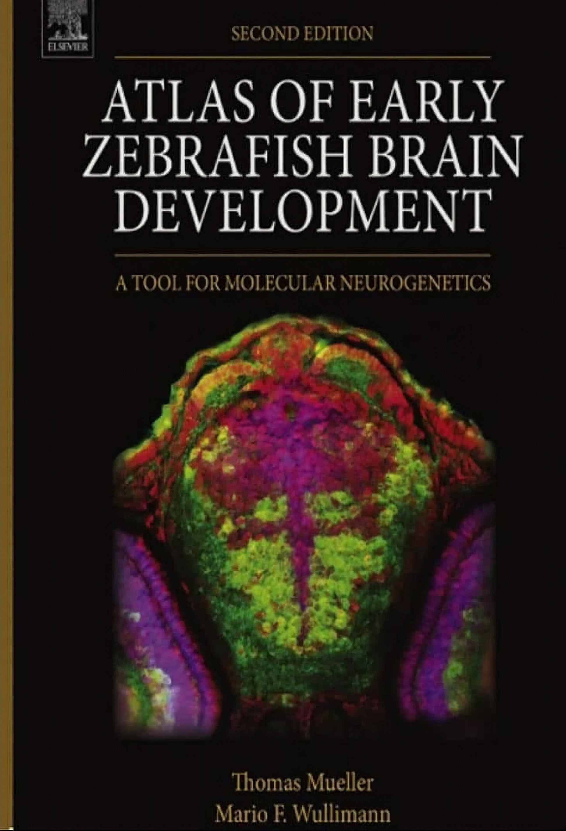 Atlas Of Early Zebrafish Brain Development 2nd Edition