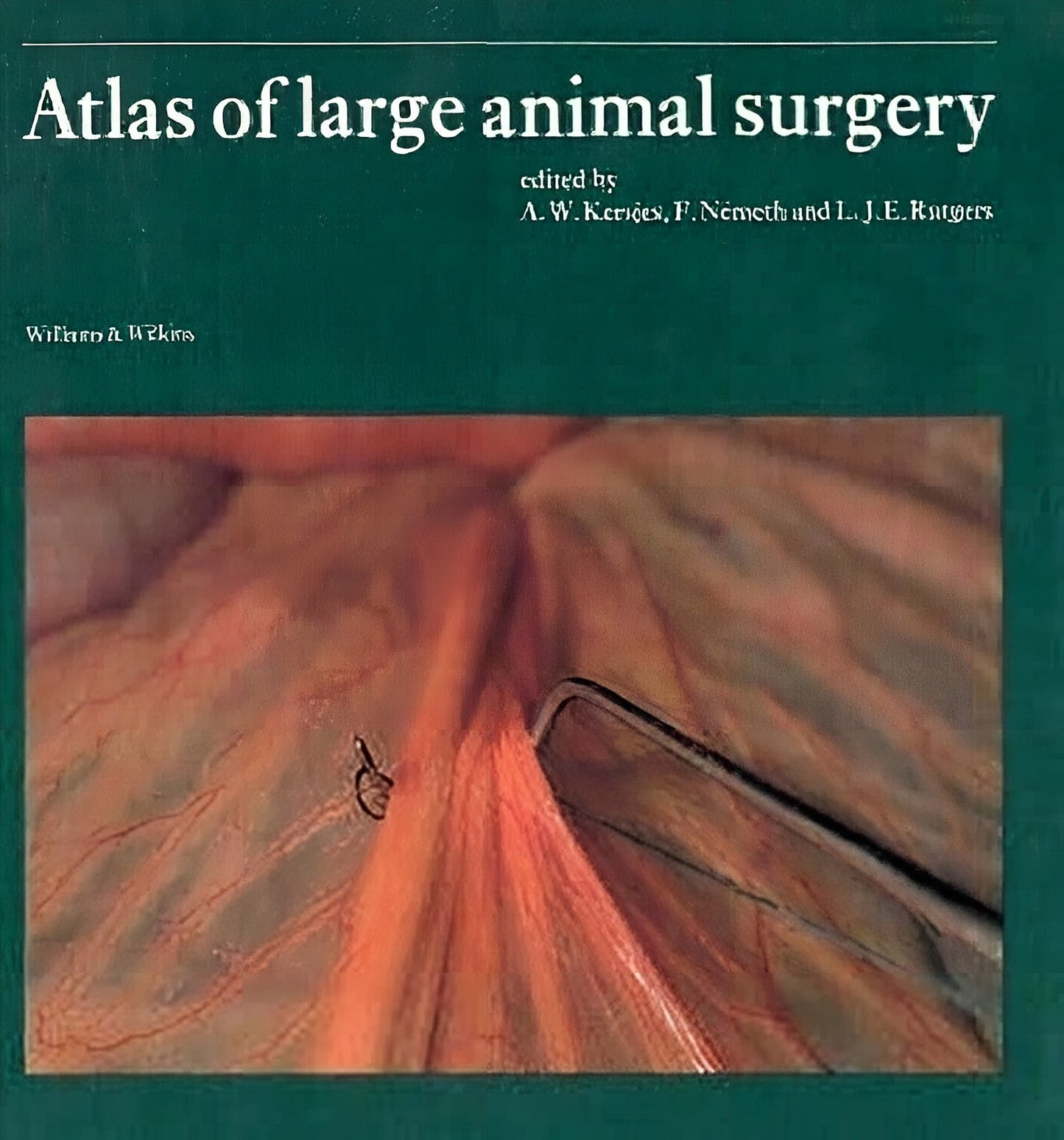 Atlas Of Large Animal Surgery