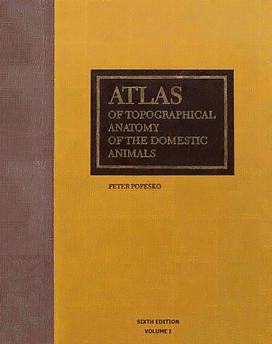 Atlas Of Topographical Anatomy Of The Domestic Animals 6Th Edition