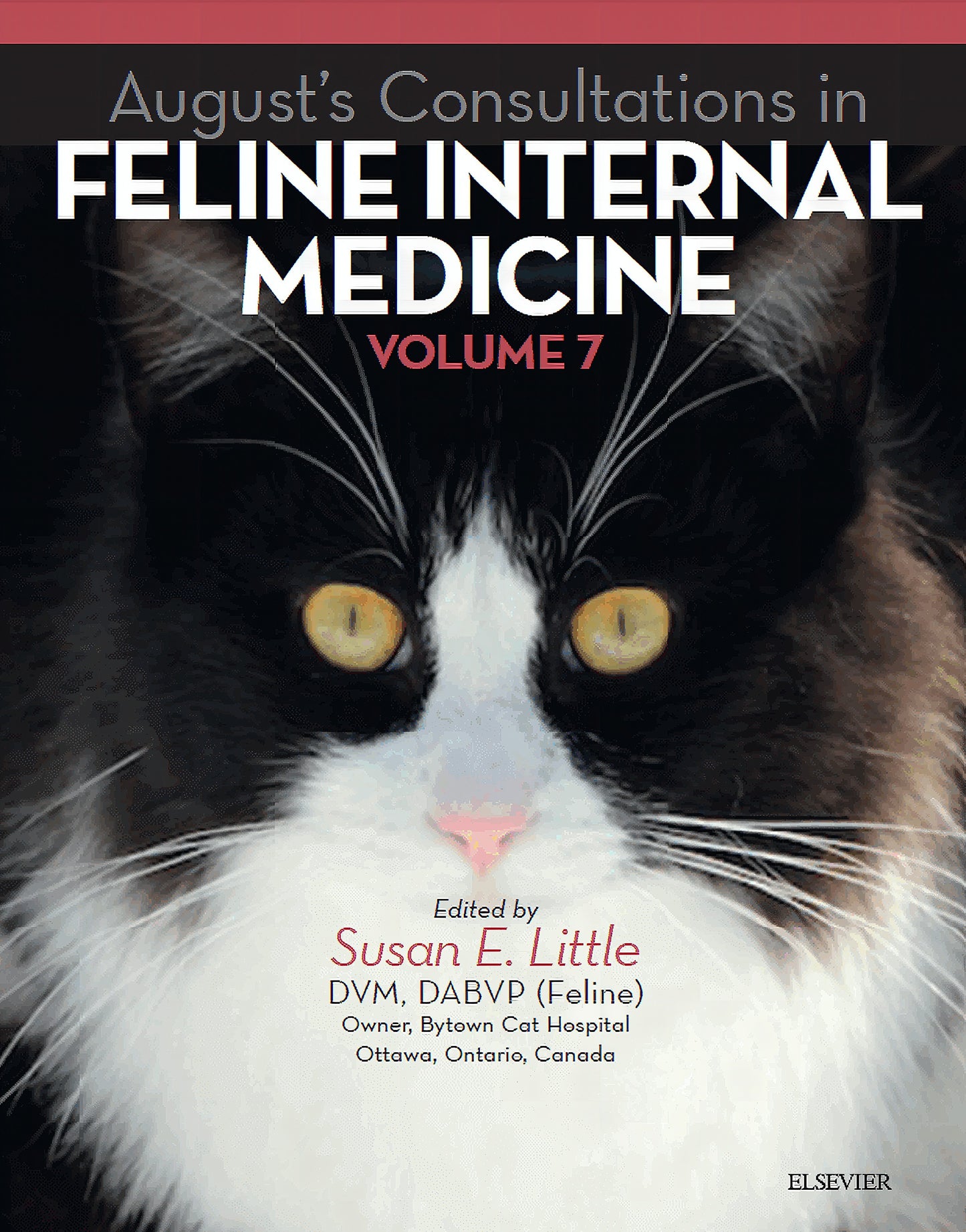 Augusts Consultations In Feline Internal Medicine Volume 7 1St Edition