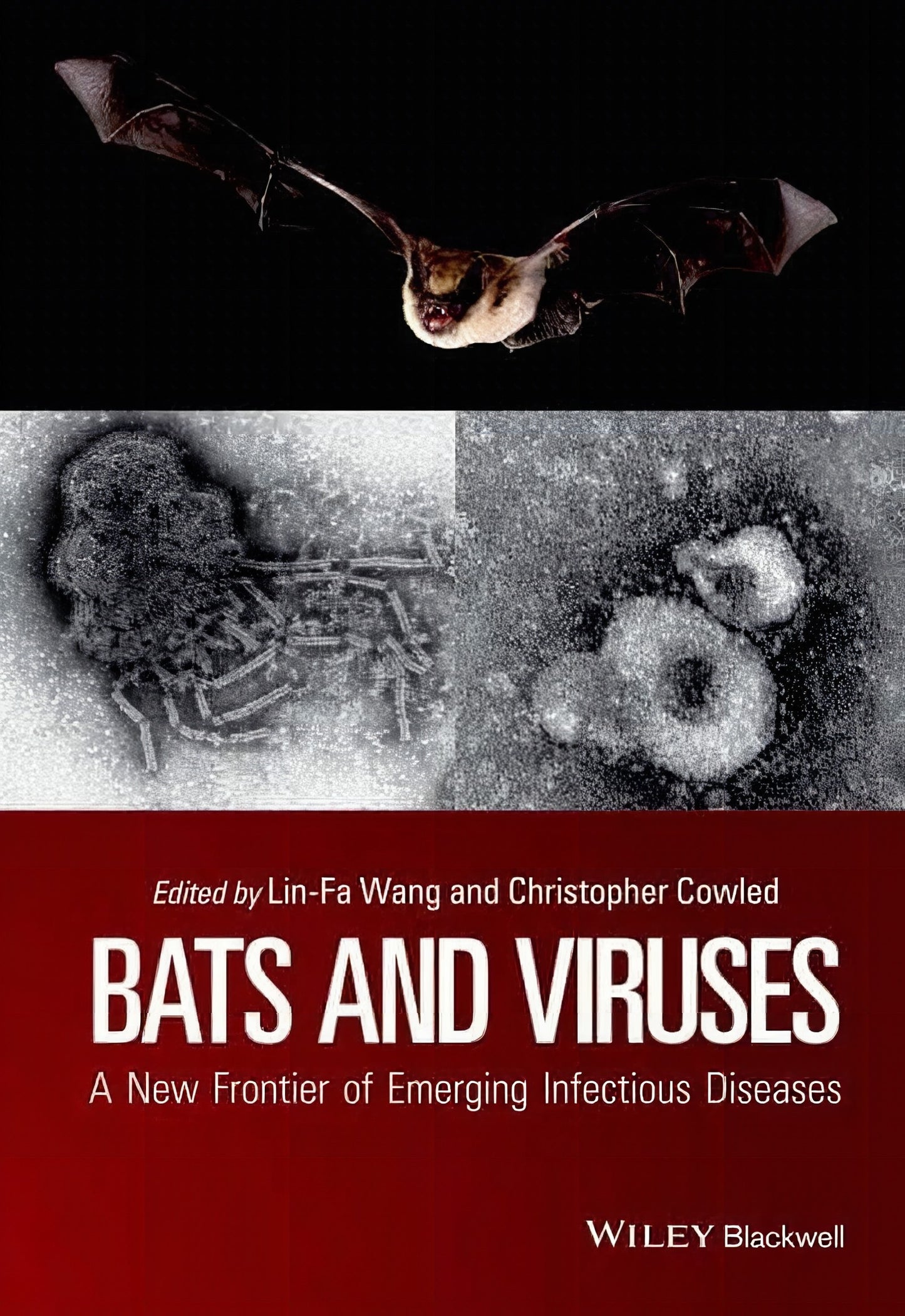 Bats And Viruses A New Frontier Of Emerging Infectious Diseases