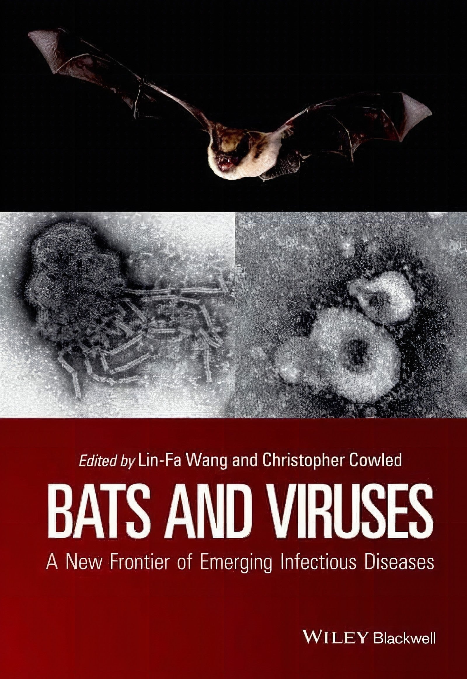 Bats And Viruses A New Frontier Of Emerging Infectious Diseases