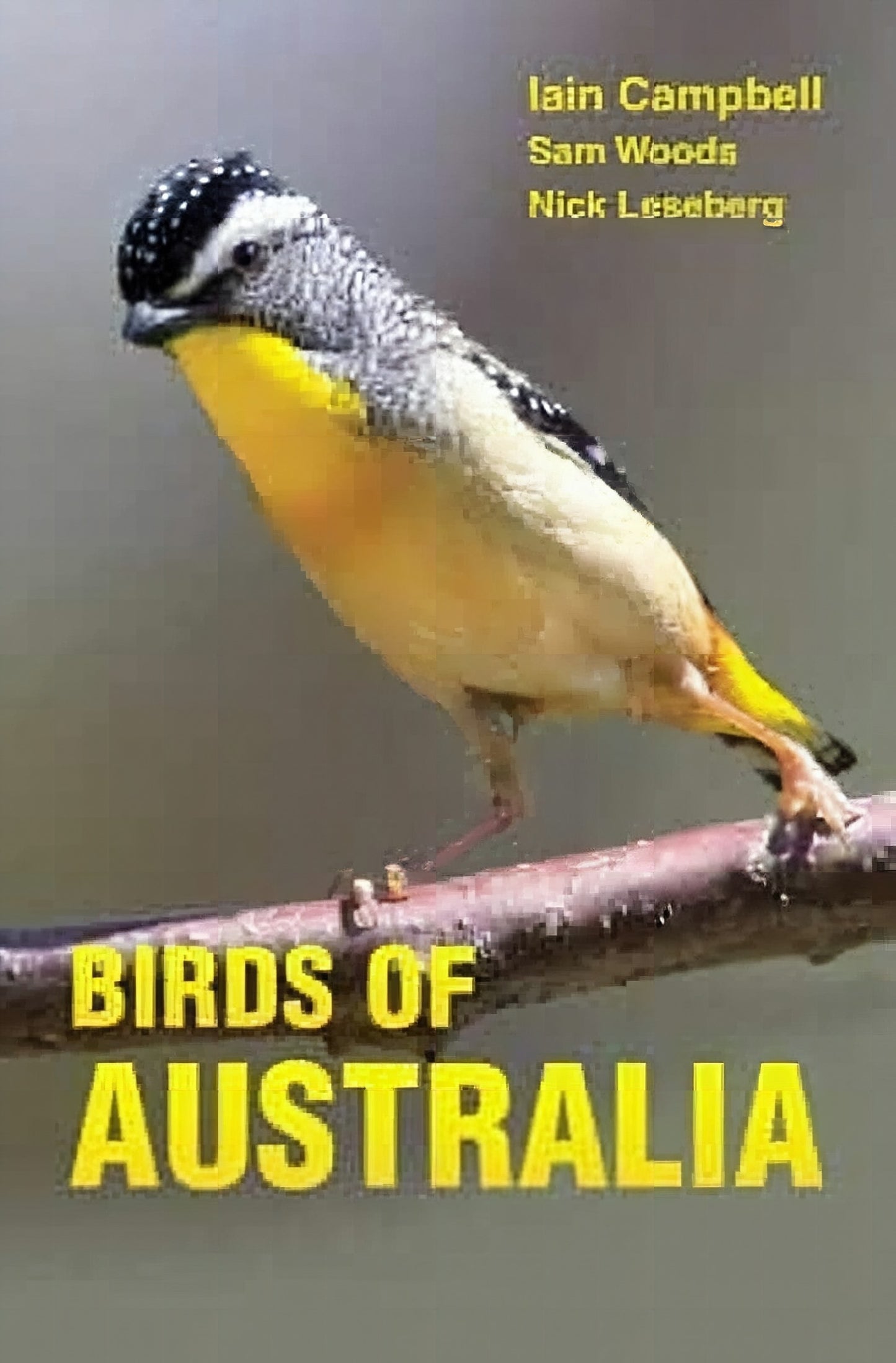 Bird Of Australia A Photographic Guide
