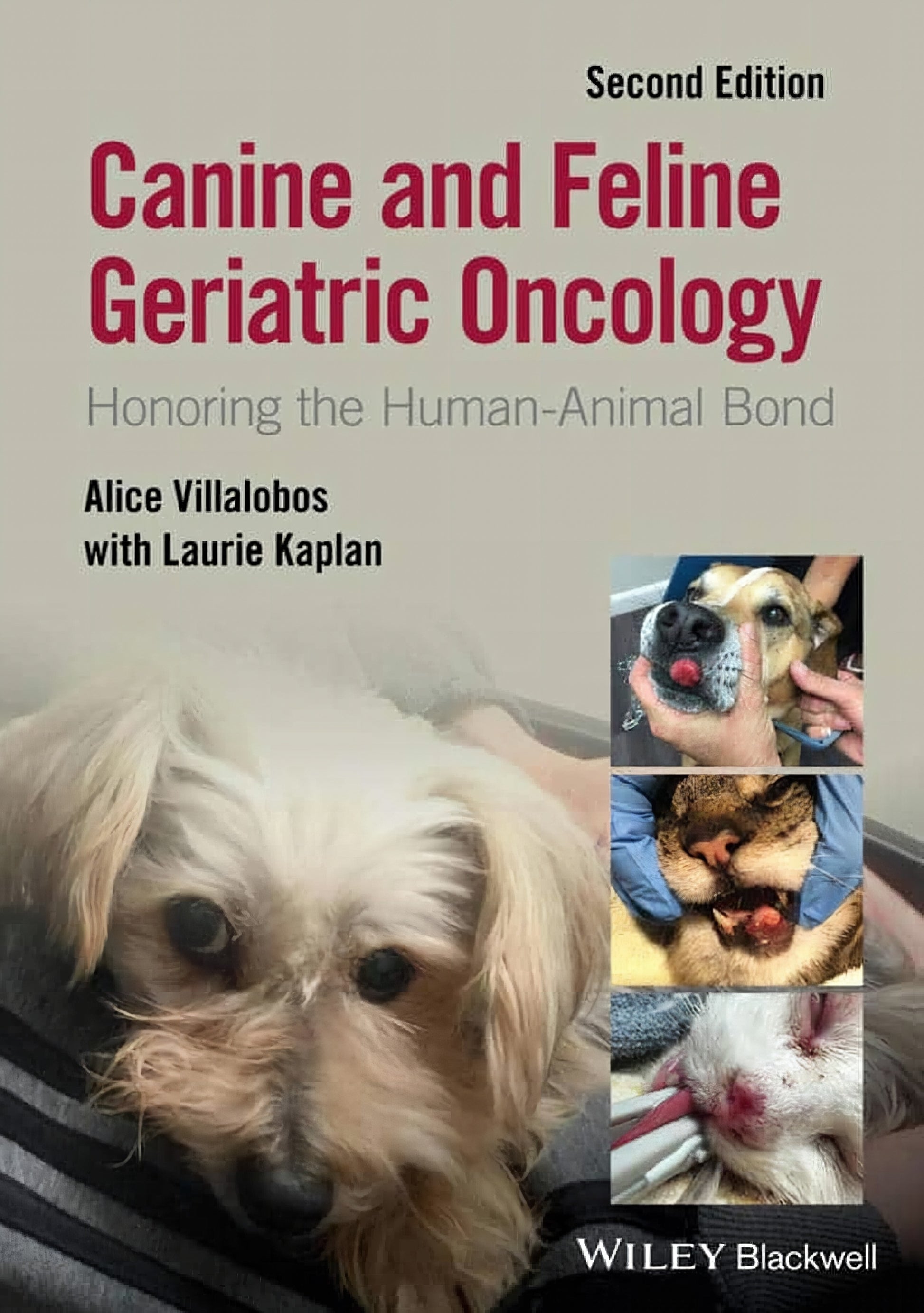 Canine And Feline Geriatric Oncology Honoring The Human Animal Bond 2nd Edition