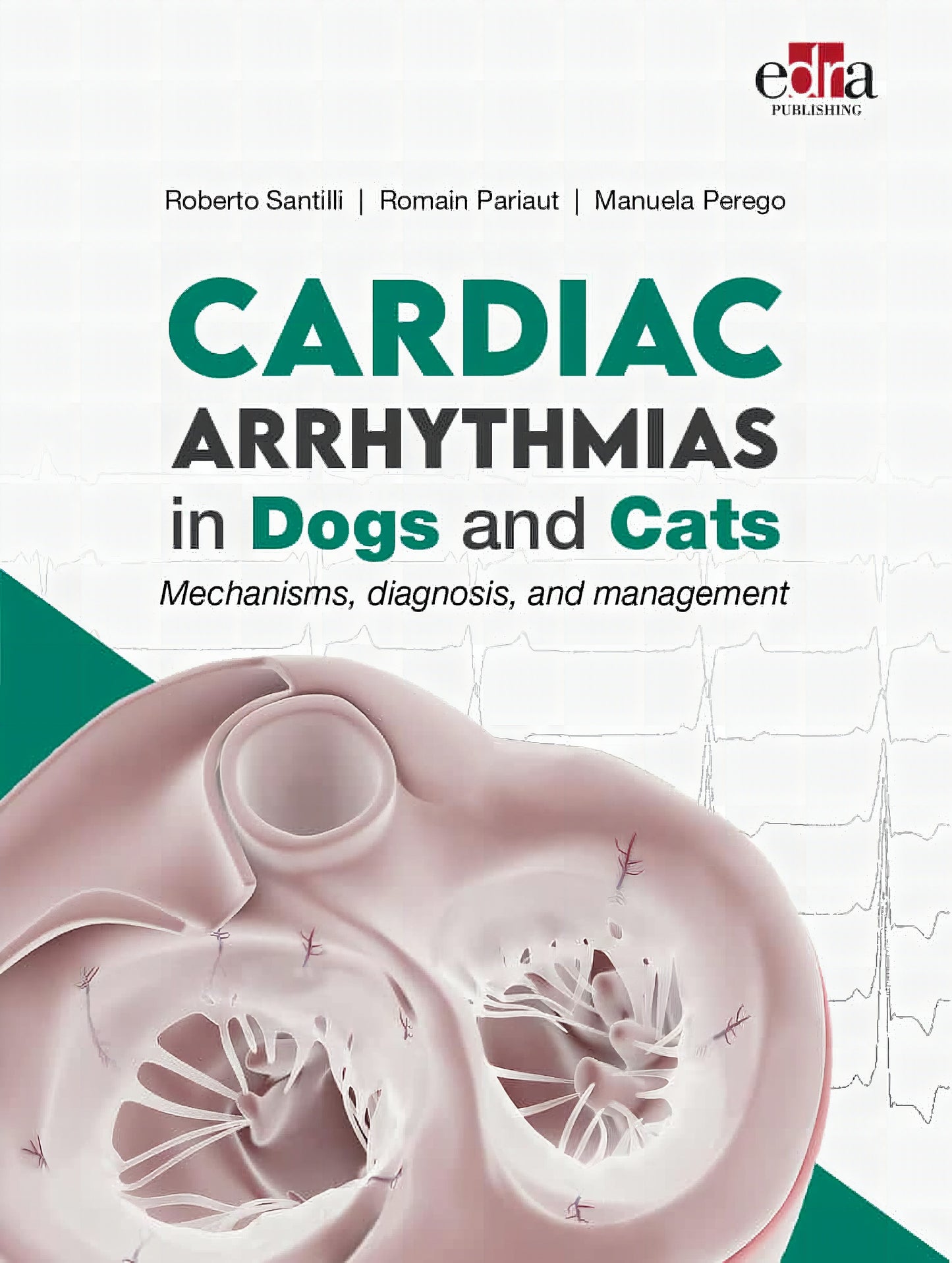 Cardiac Arrhythmias In Dogs And Cats Mechanisms Diagnosis And Management