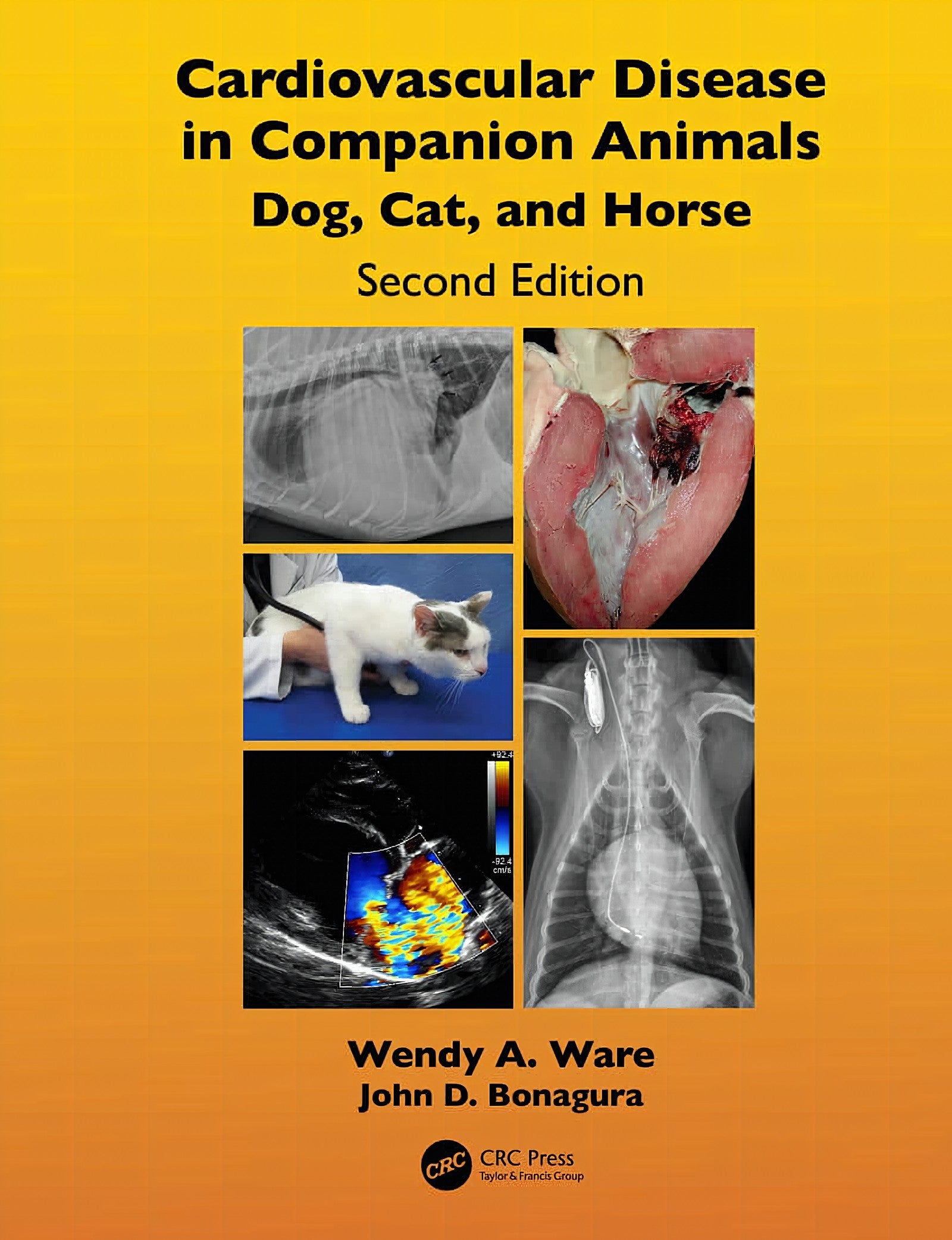 Cardiovascular Disease In Companion Animals Dog Cat And Horses 2nd Edition