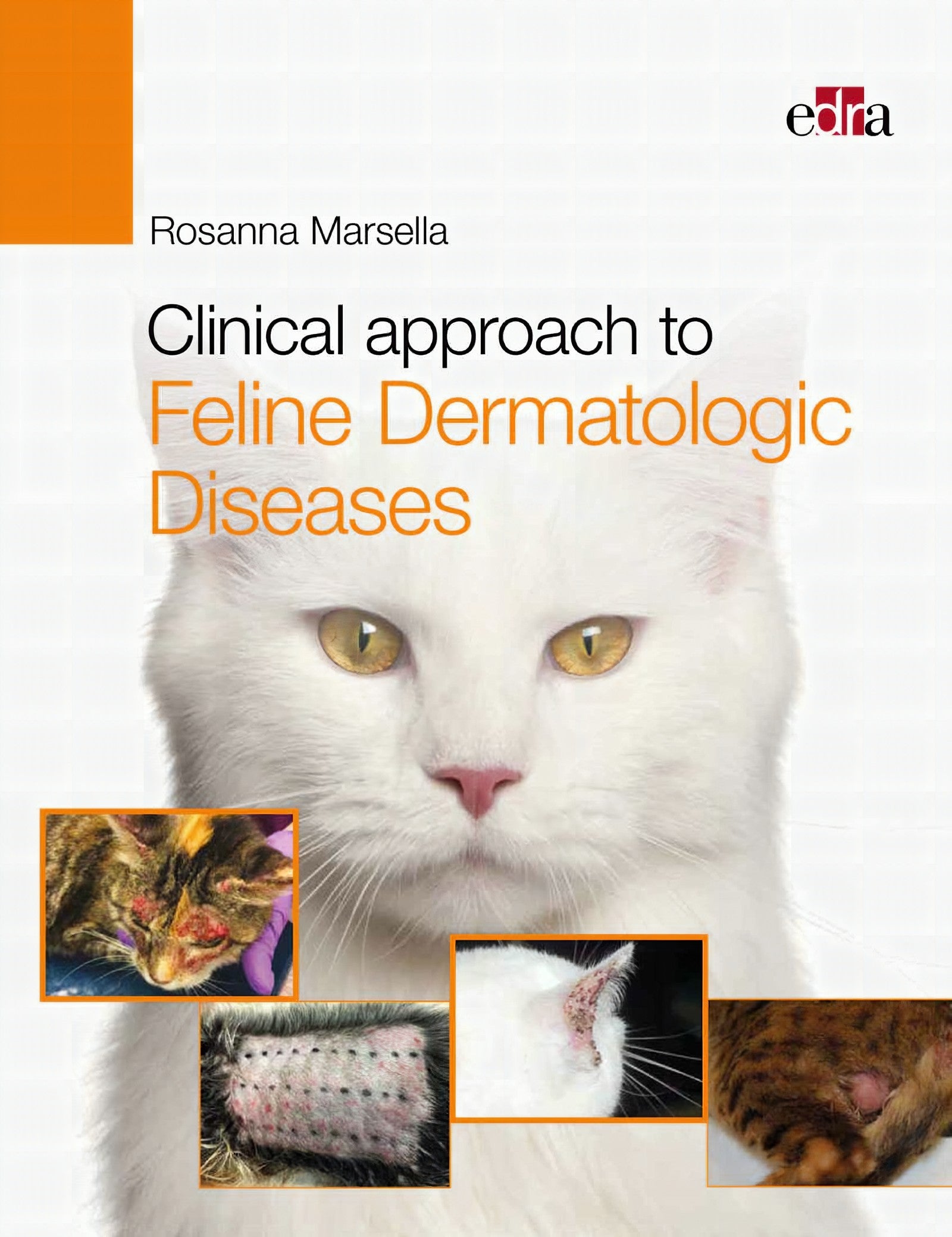 Clinical Approach To Feline Dermatologic Diseases