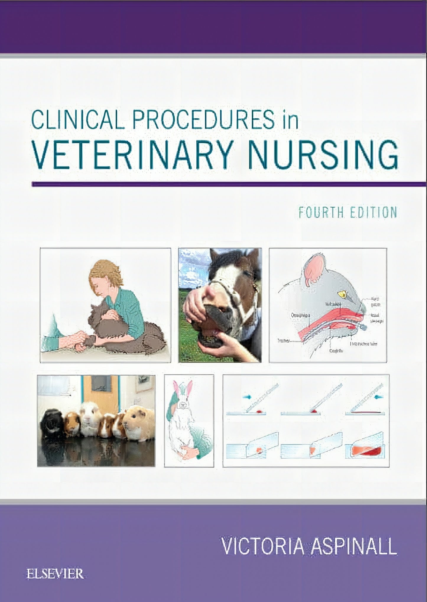 Clinical Procedures In Veterinary Nursing 4Th Edition