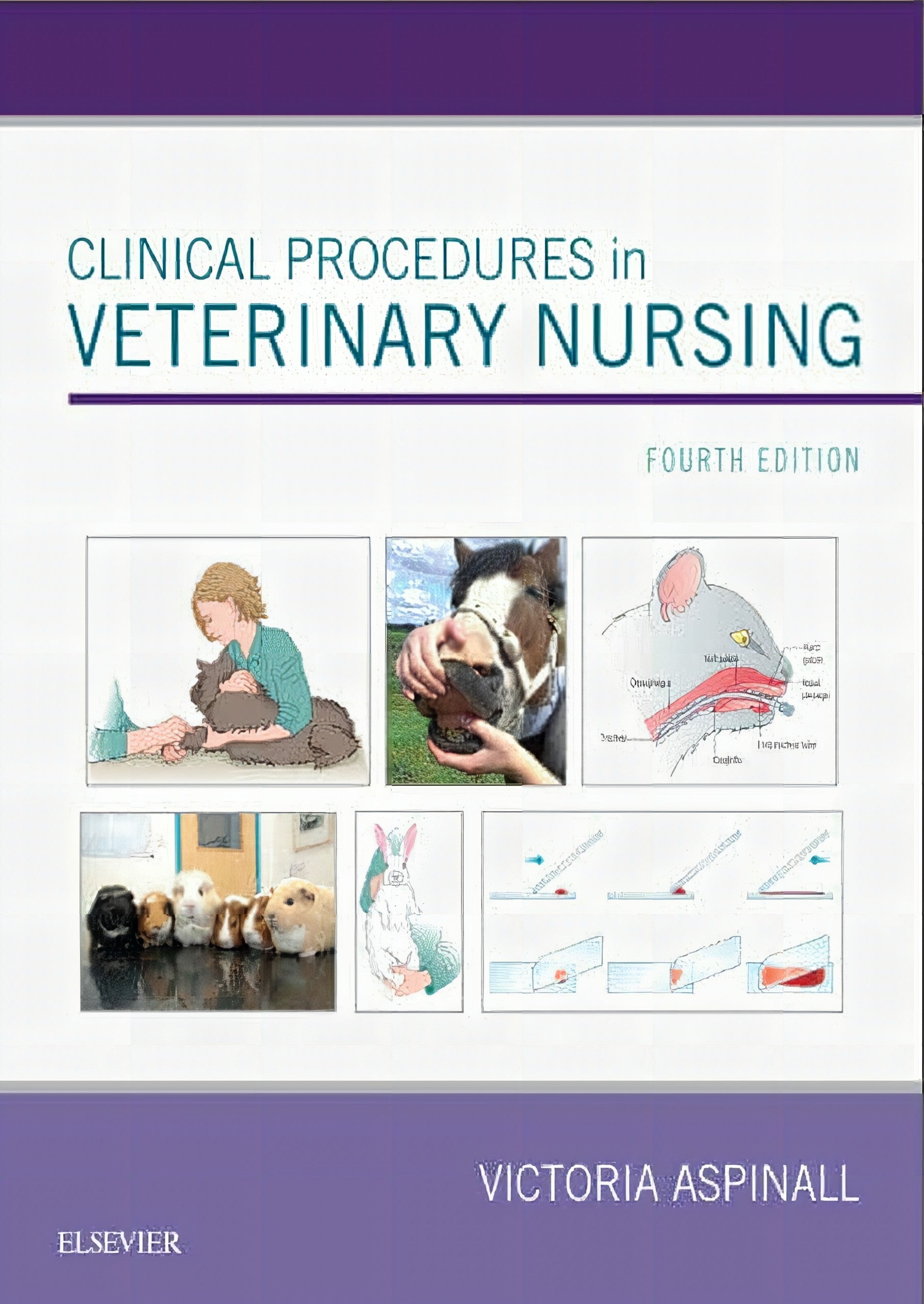 Clinical Procedures In Veterinary Nursing 4Th Edition